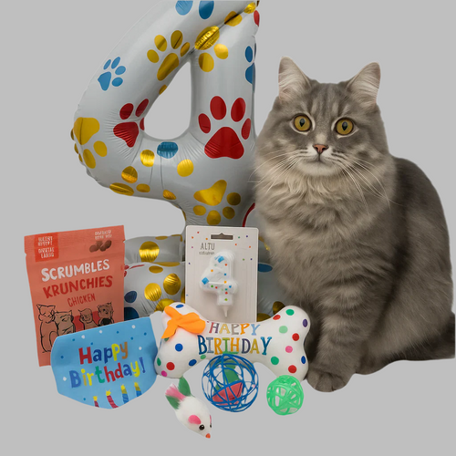 Cat Birthday Surprise with treats, balloon, candle, toys and bandana