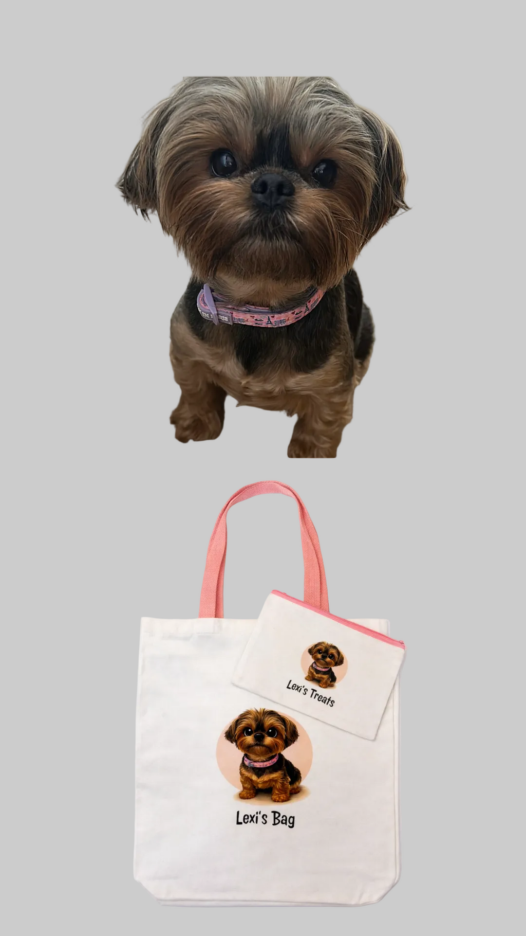 Personalised Pet Cartoon Tote Bag & Matching Treat Pouch – Custom Illustration from Your Photo