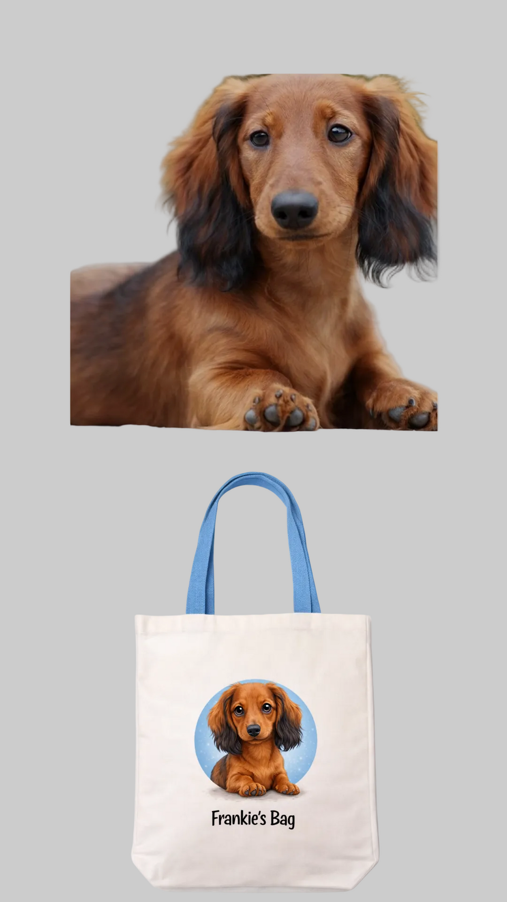 Personalised Pet Cartoon Tote Bag & Matching Treat Pouch – Custom Illustration from Your Photo