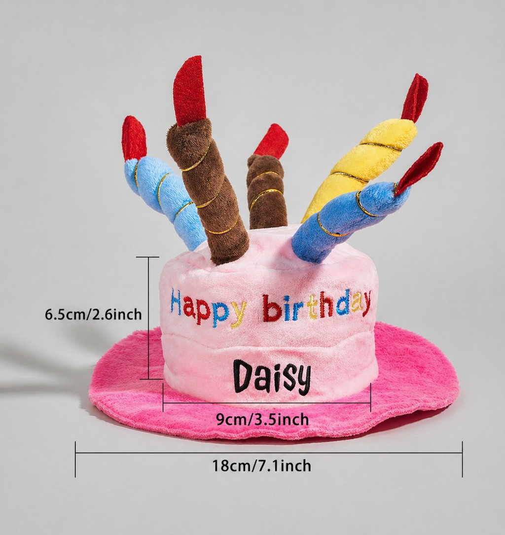 Personalised pet birthday hat