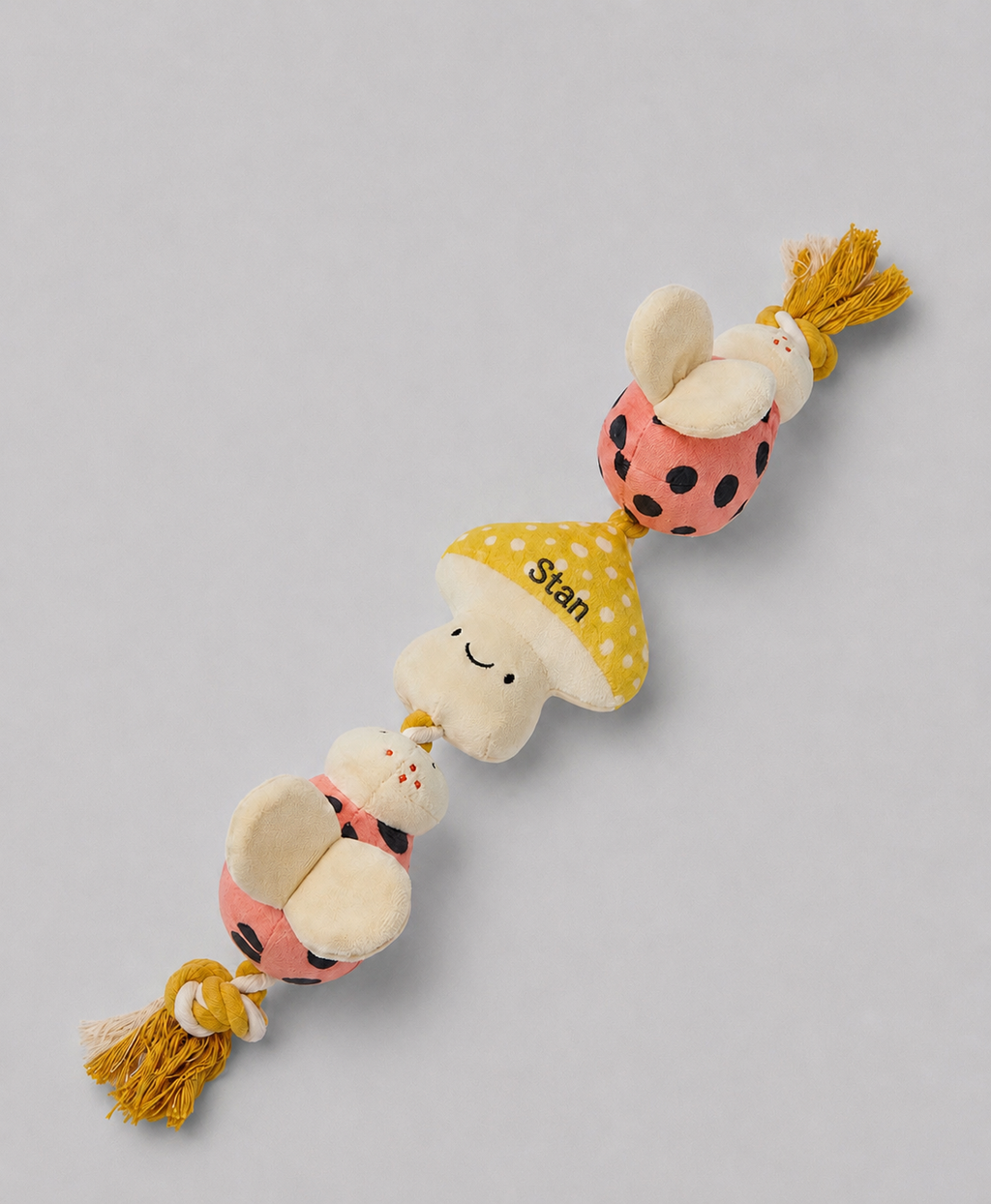 Personalised puppy and small dog rope toy