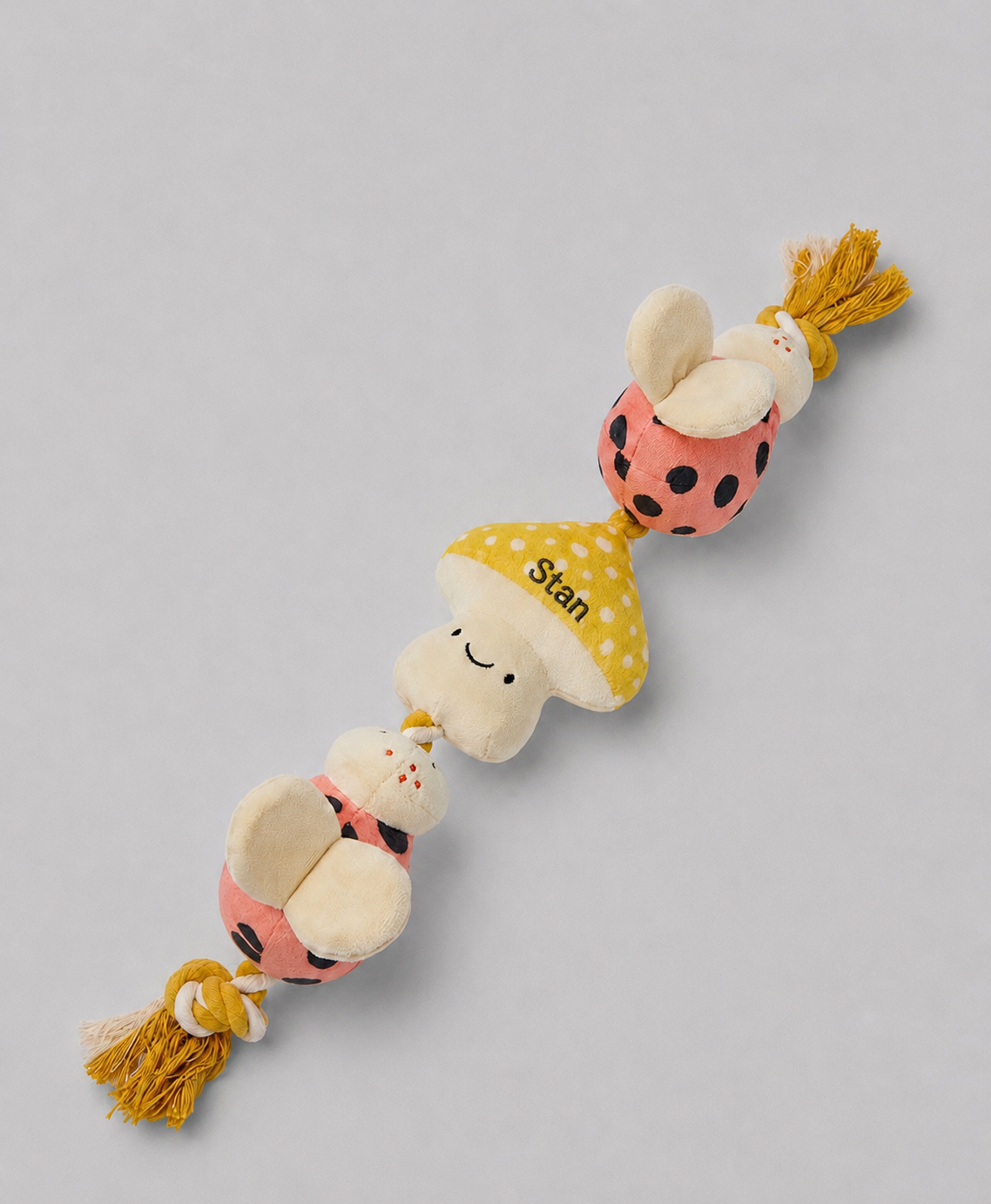 Personalised puppy and small dog rope toy
