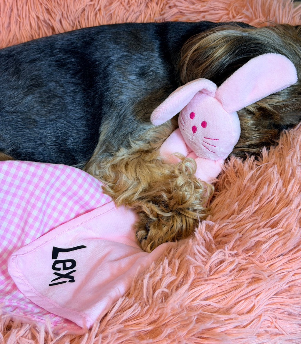 Personalised Comforter Puppy Toy – Pink Rabbit or Blue Bear