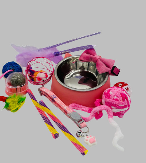 Cat Gift Box with bowl, bow, collar and toys