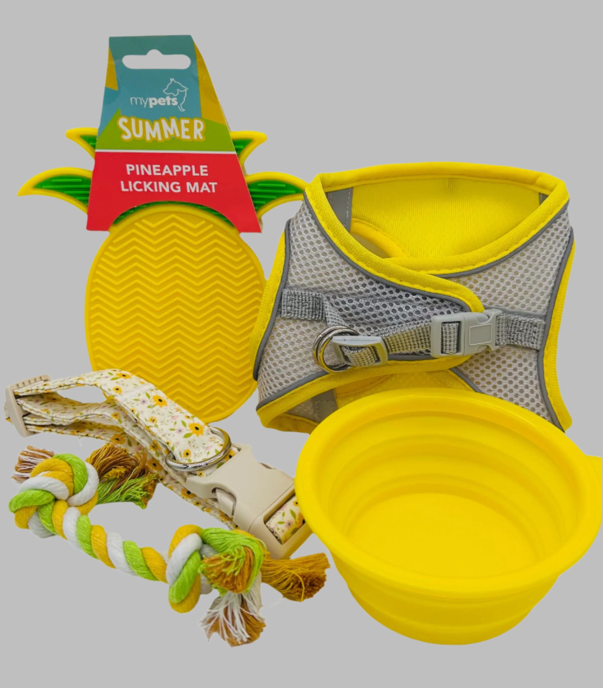 Paws and Presents Extra-Small Breeds with harness, lead, bandana and toys