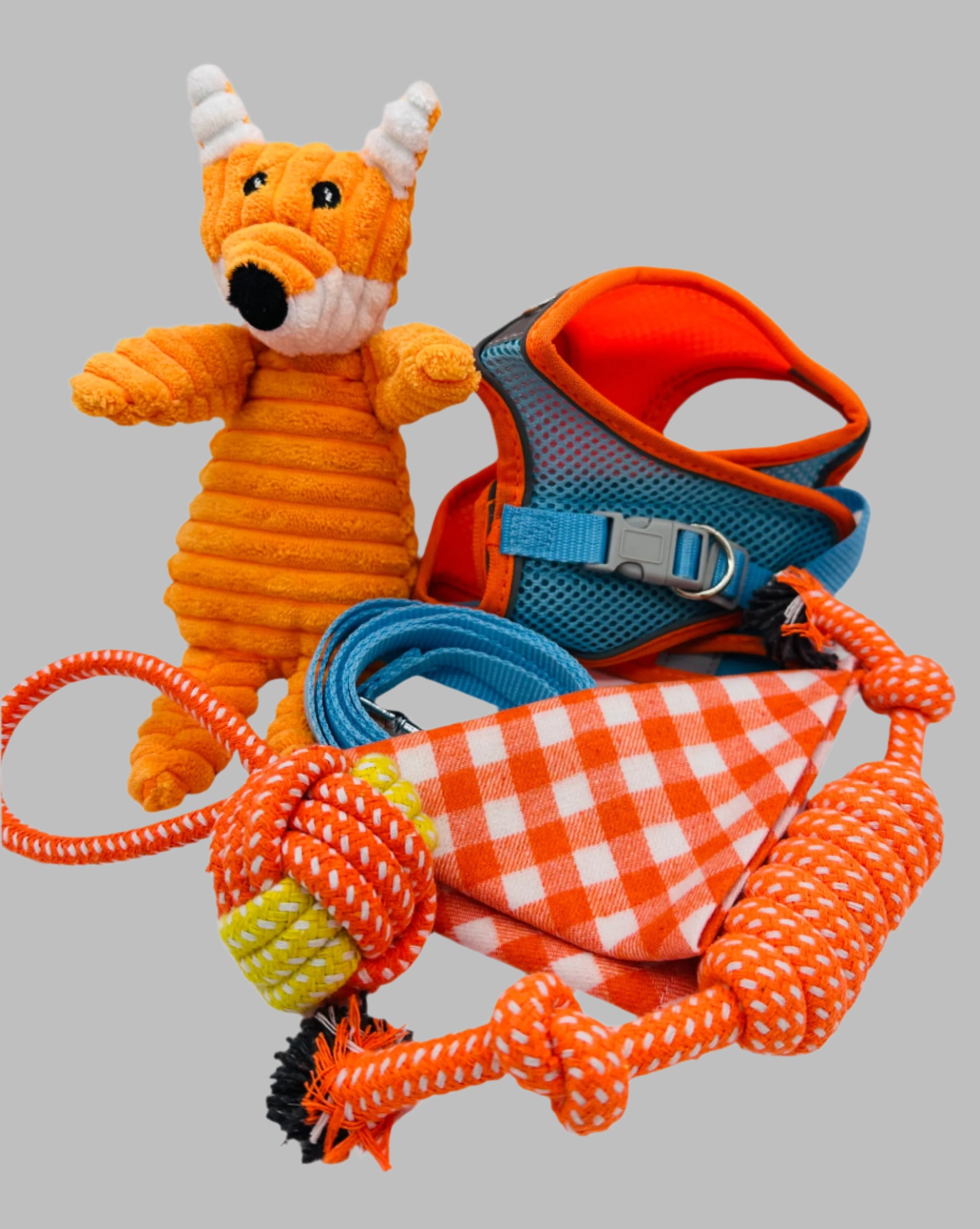 Paws and Presents Extra-Small Breeds with harness, lead, bandana and toys