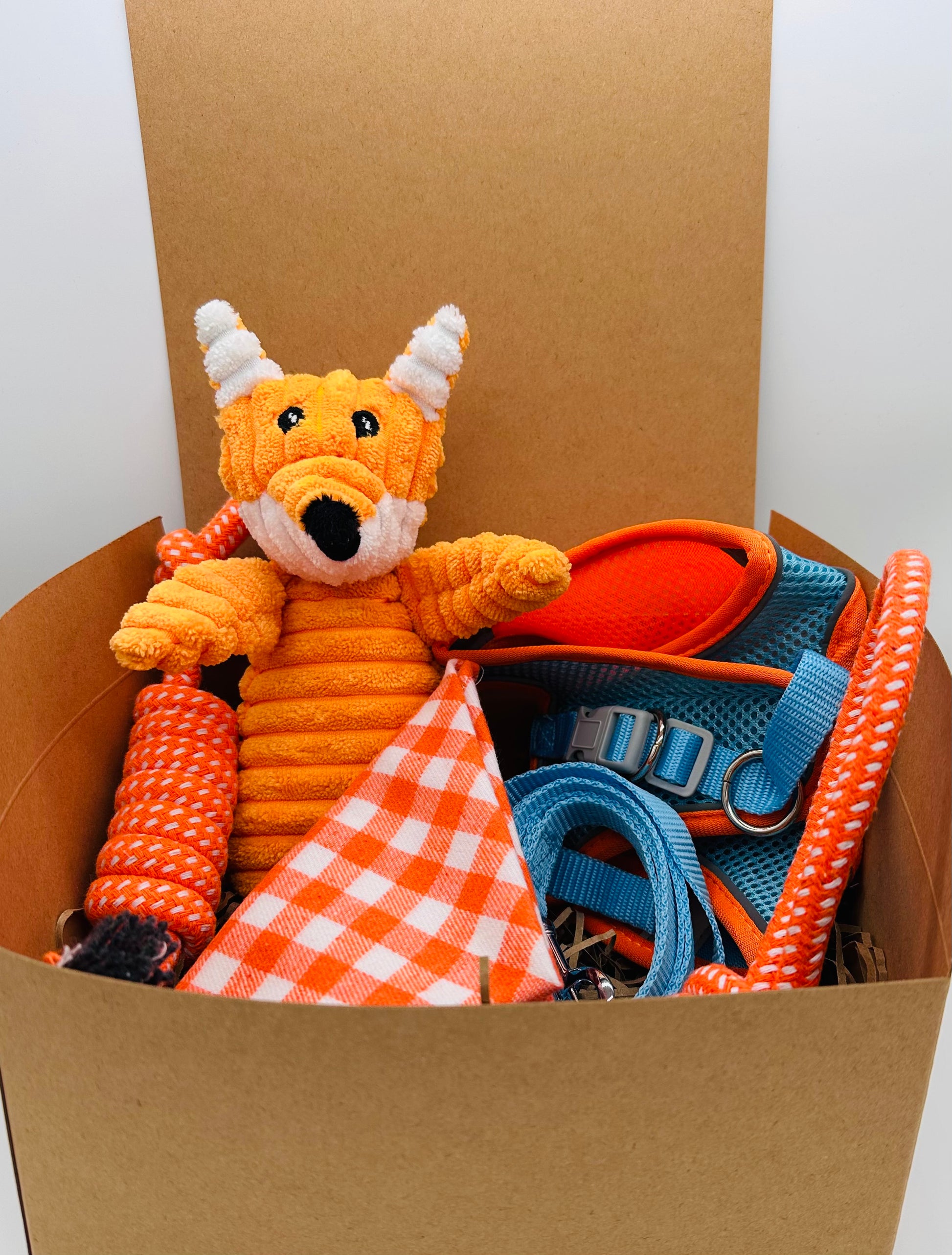 Paws and Presents Extra-Small Breeds with harness, lead, bandana and toys