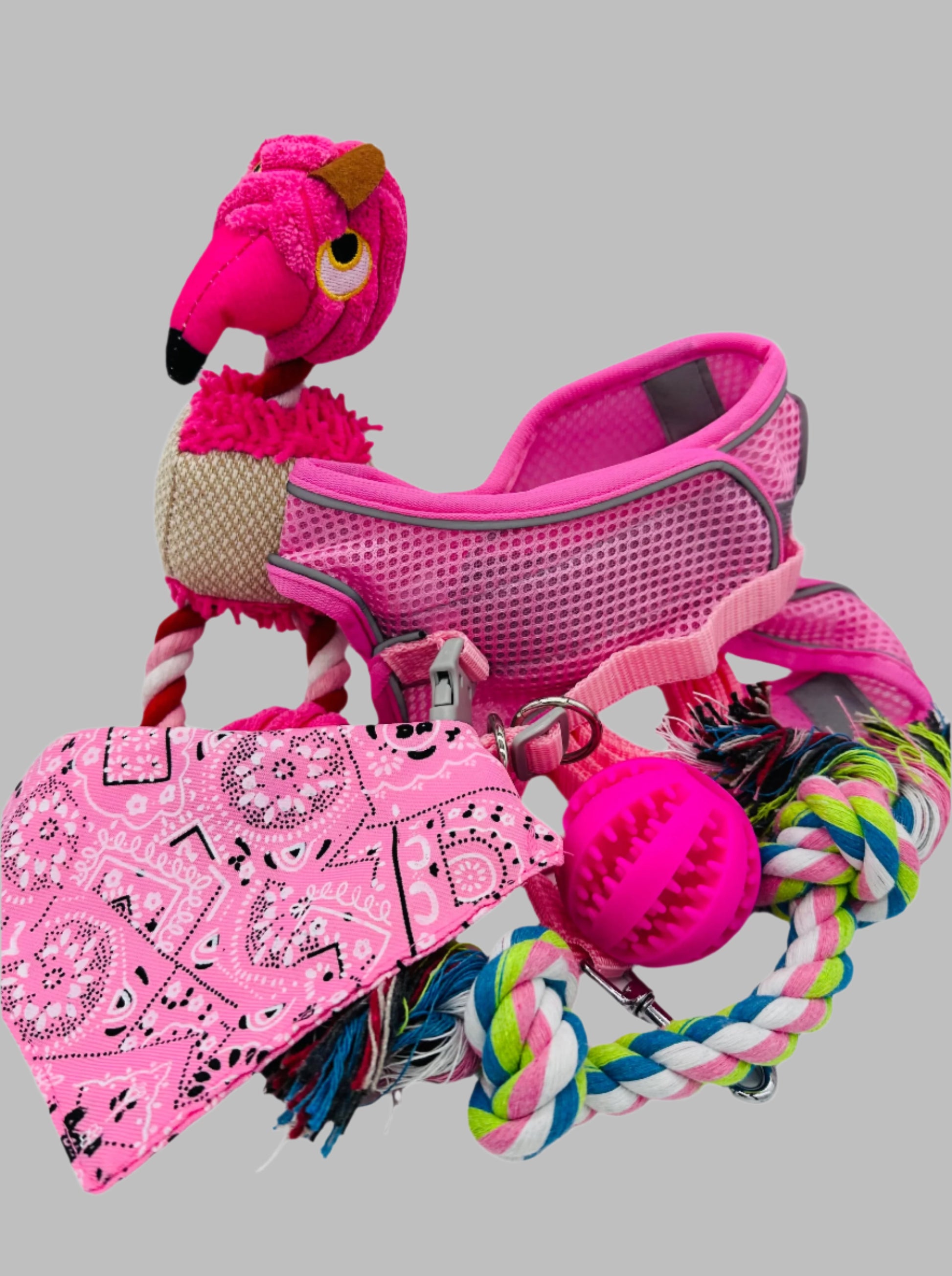Paws and Presents Extra-Small Breeds with harness, lead, bandana and toys