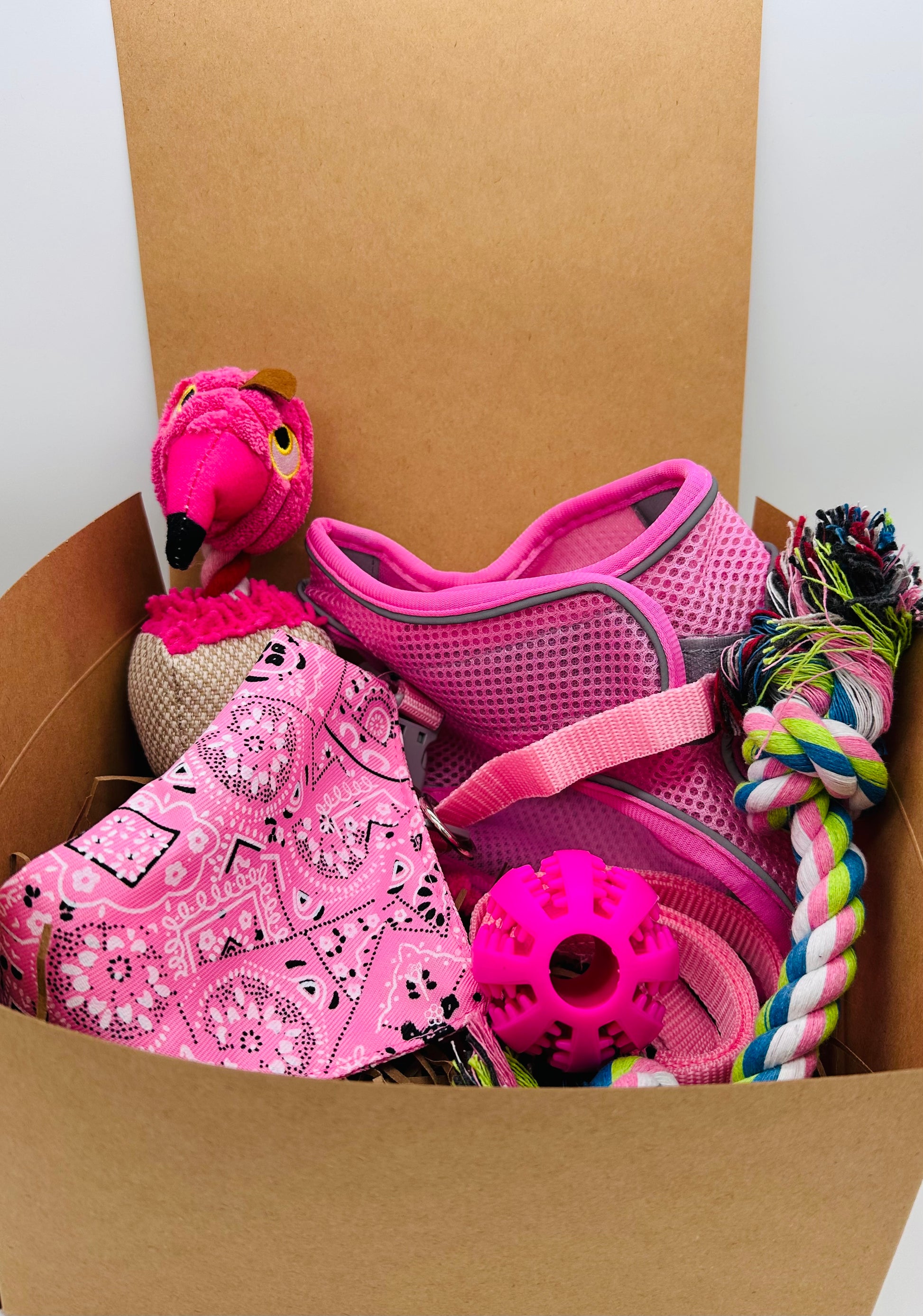 Paws and Presents Extra-Small Breeds with harness, lead, bandana and toys