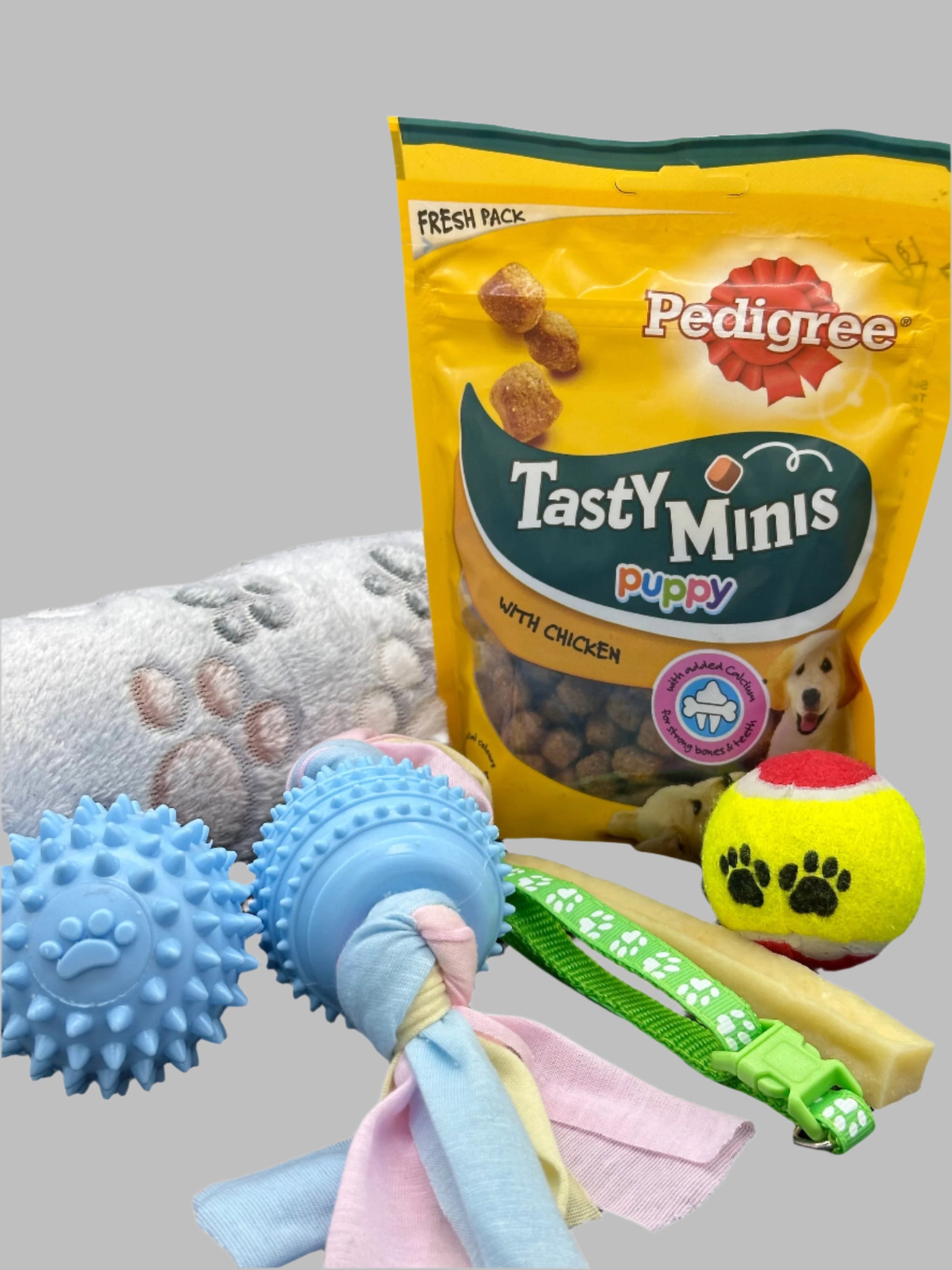 Welcome Home Puppy with blanket, treats, collar, bed and toys
