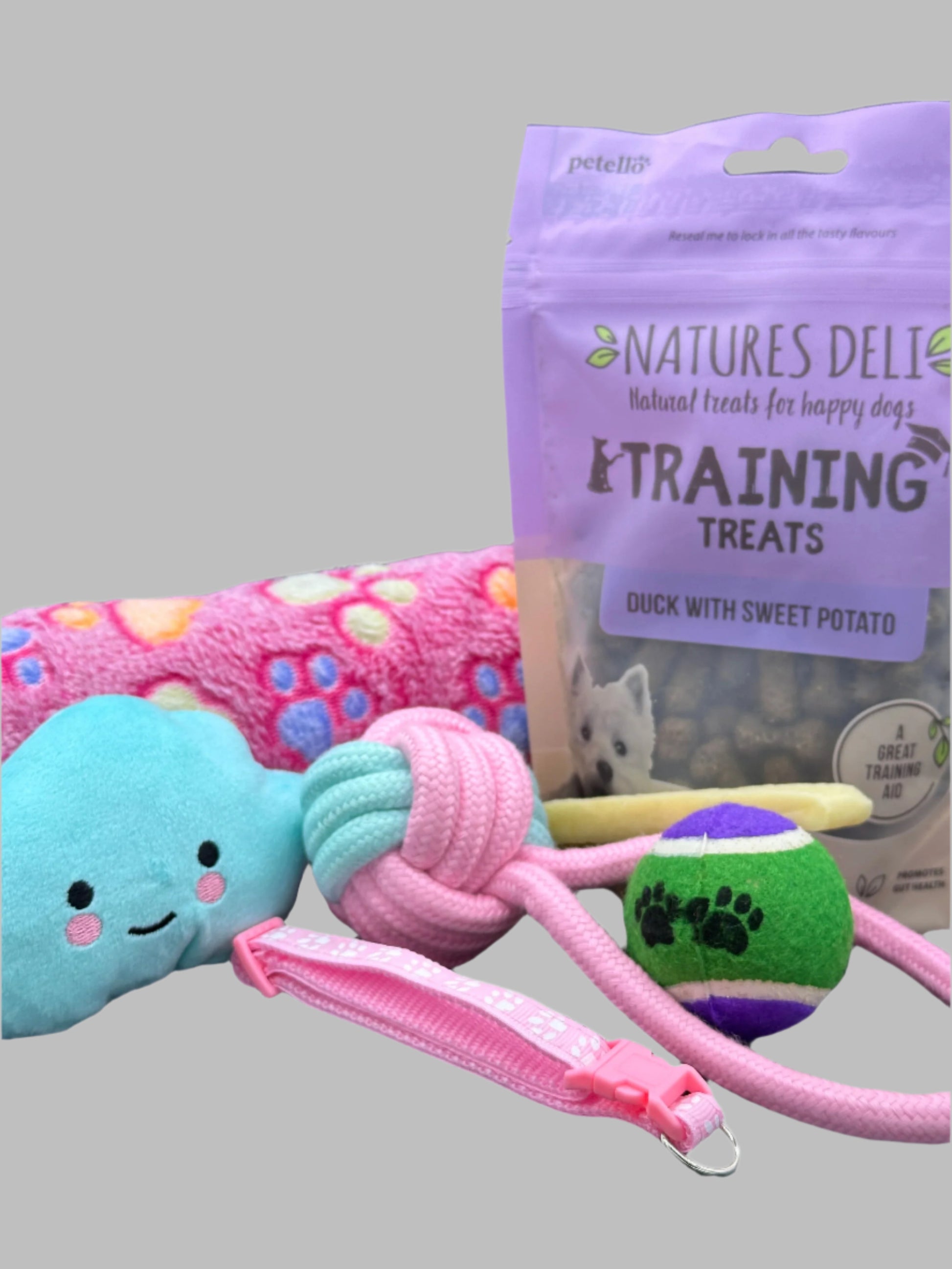 Welcome Home Puppy with blanket, treats, collar, bed and toys