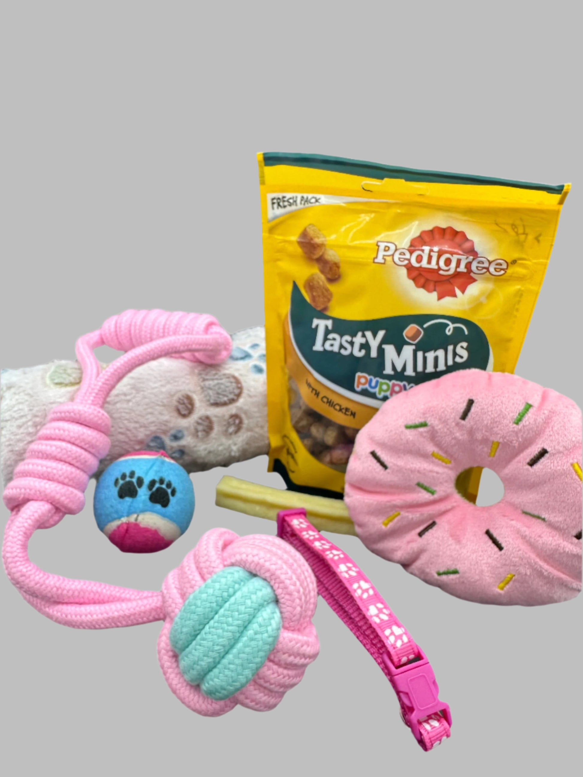 Welcome Home Puppy with blanket, treats, collar, bed and toys