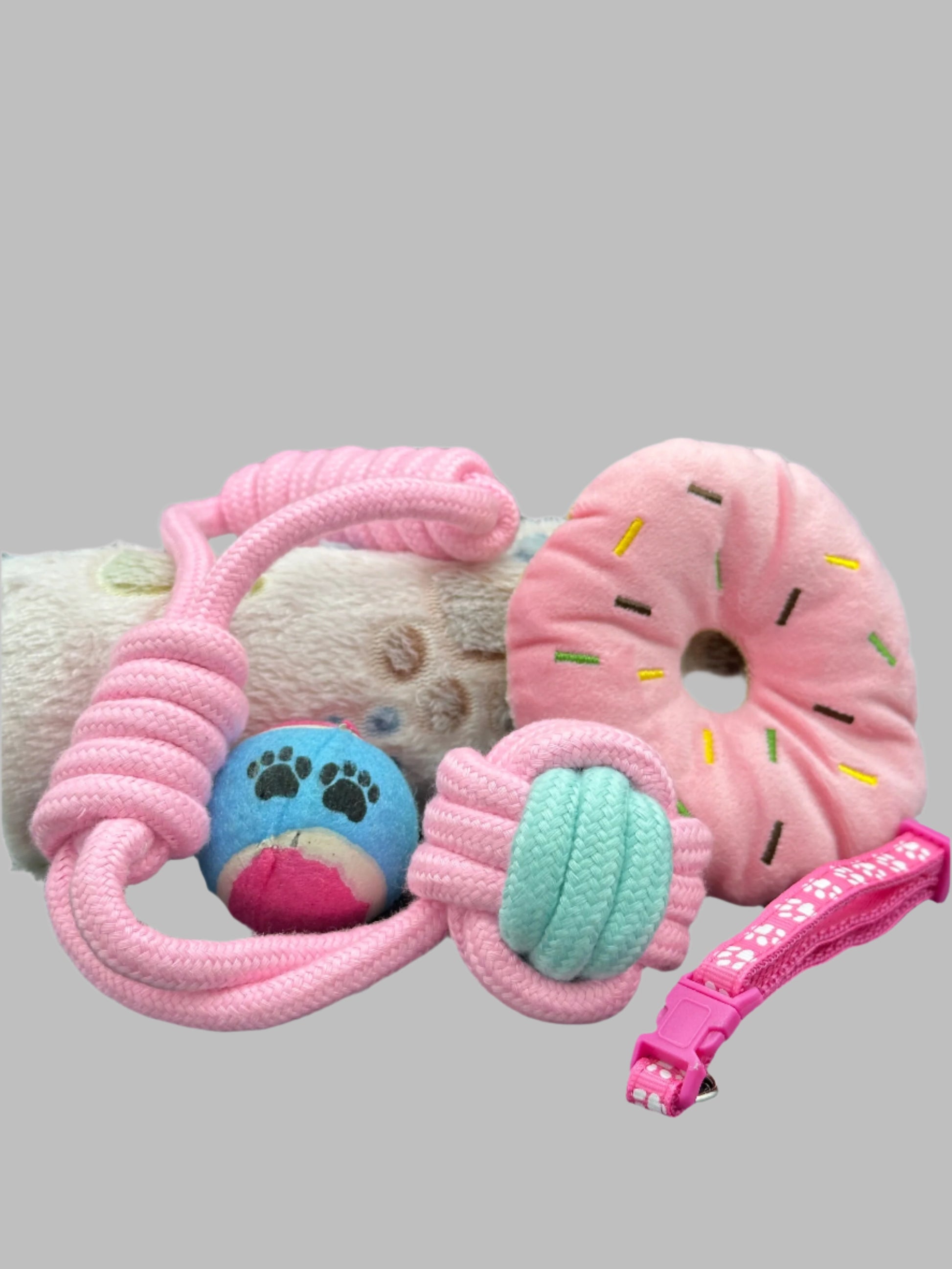 Welcome Home Puppy with blanket, treats, collar, bed and toys