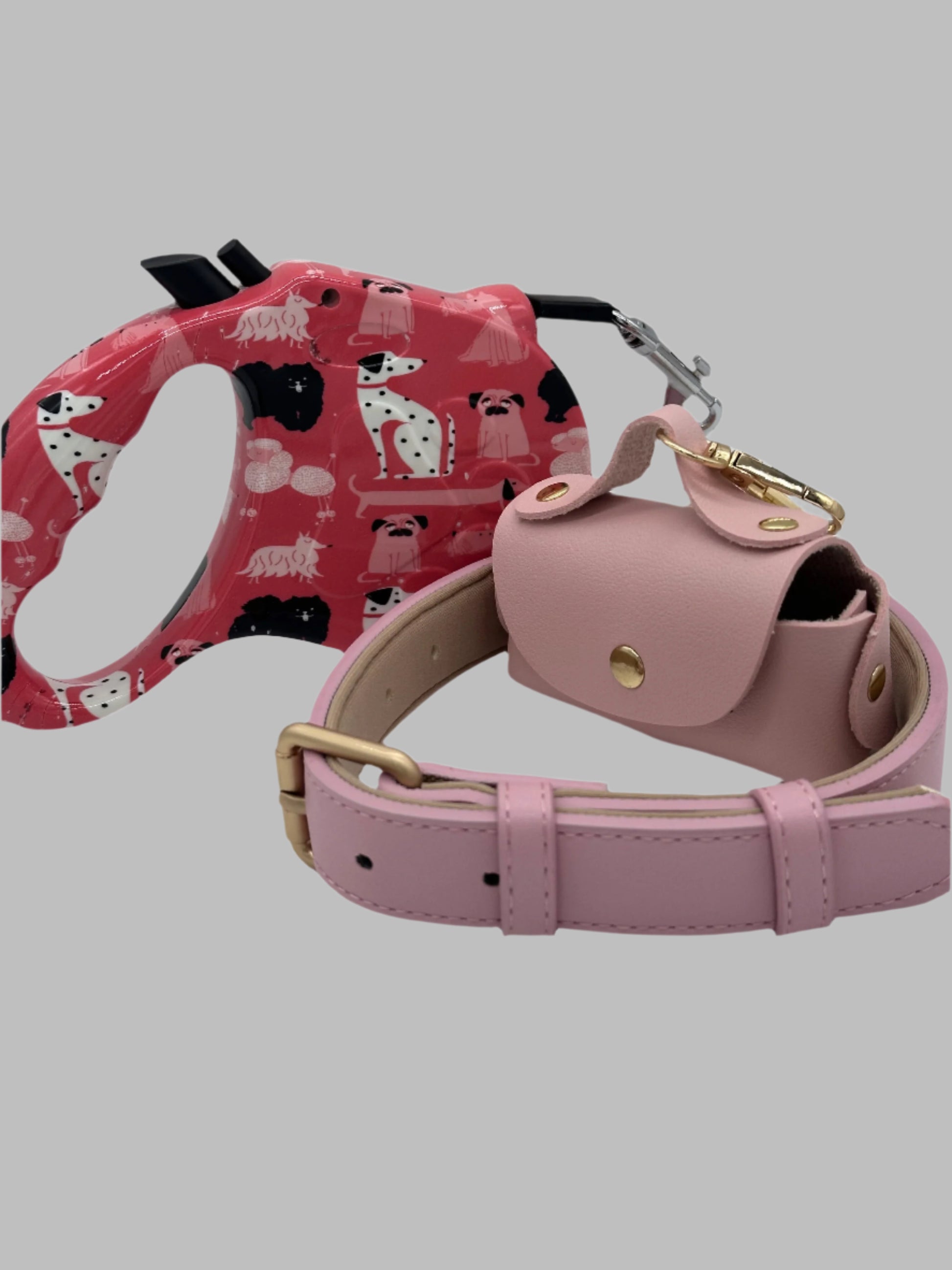 Dog Collar and Retractable Lead Set
