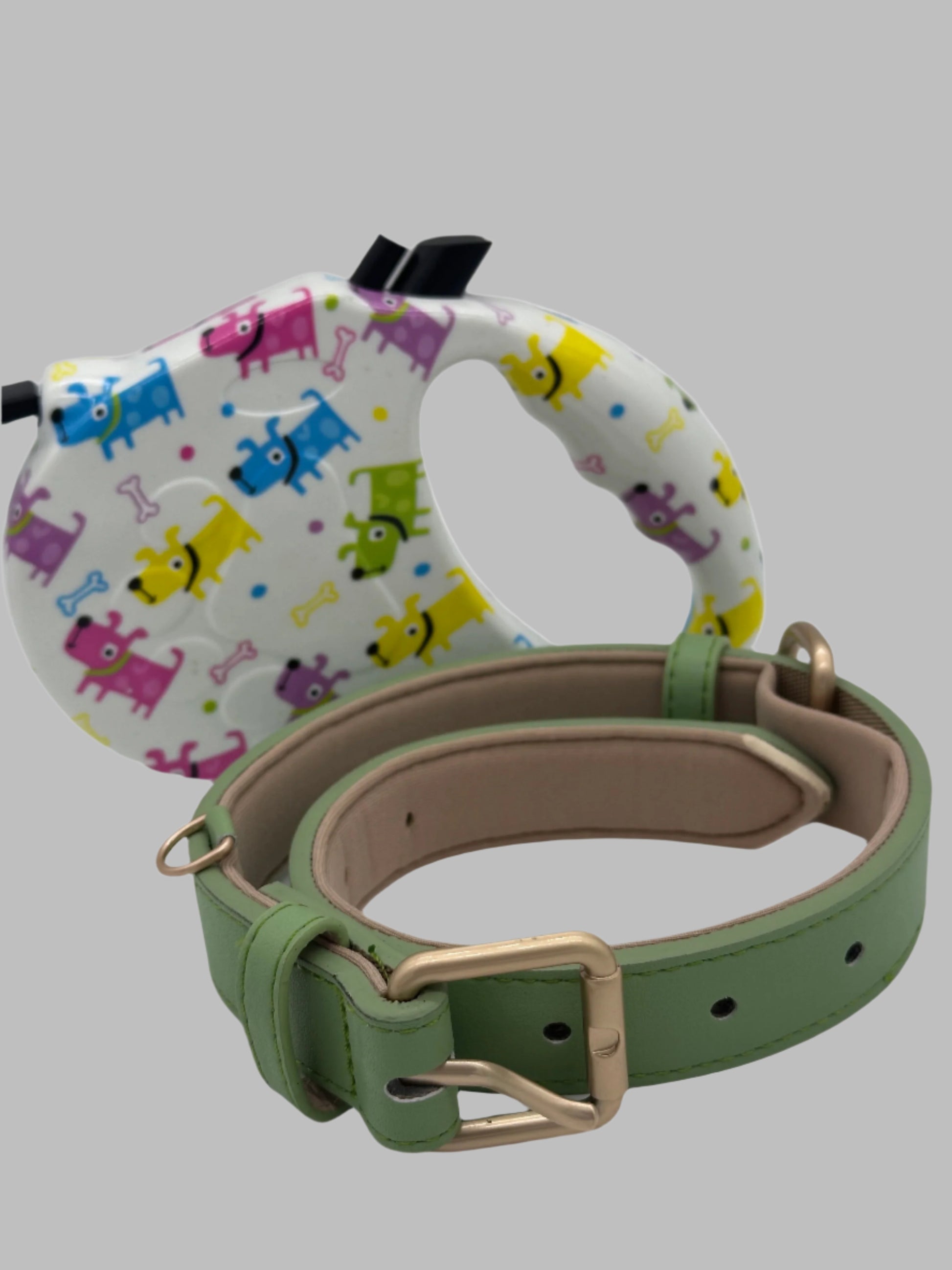 Dog Collar and Retractable Lead Set