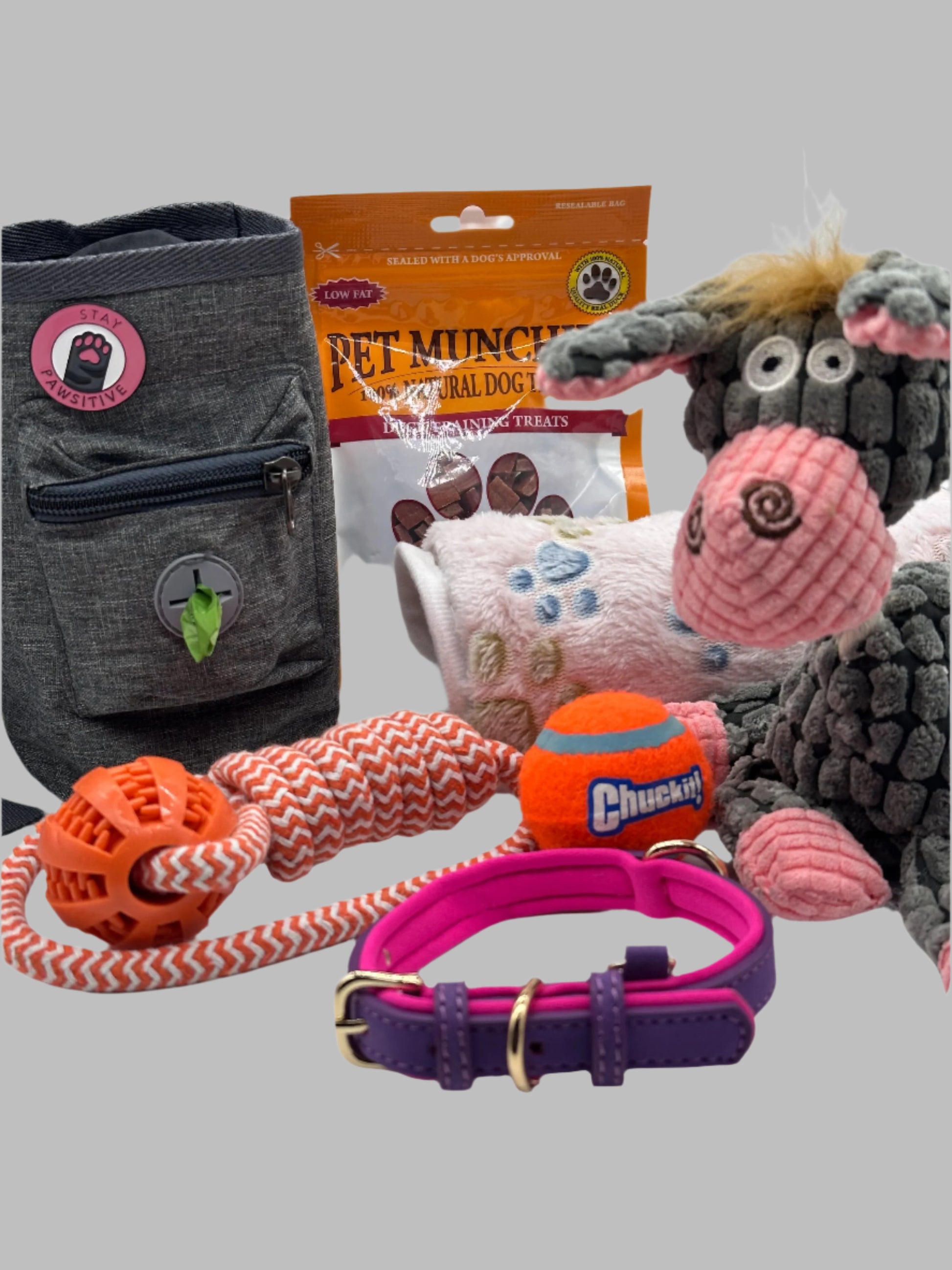 Luxury Small Dog and Puppy Gift Box with treat bag, leather collar, blanket, toys and treats