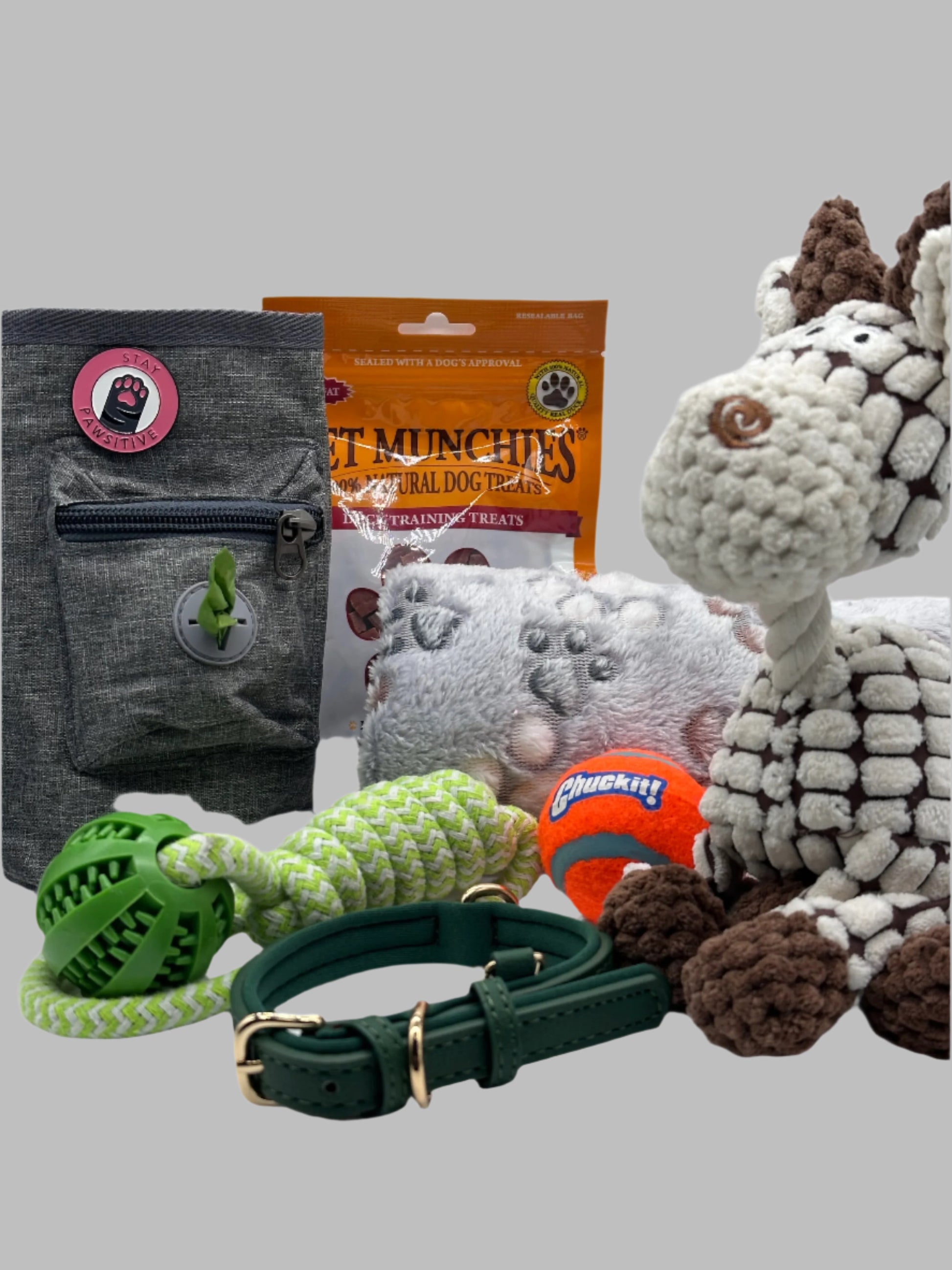 Luxury Small Dog and Puppy Gift Box with treat bag, leather collar, blanket, toys and treats