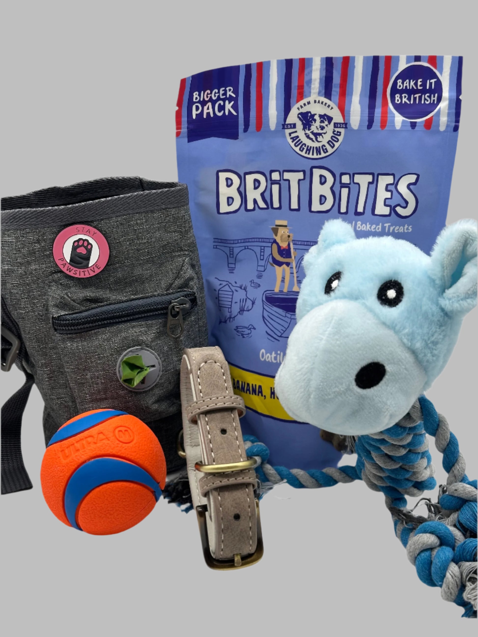 Luxury Medium & Large Dog Box with treat bag, leather collar, treats and toys