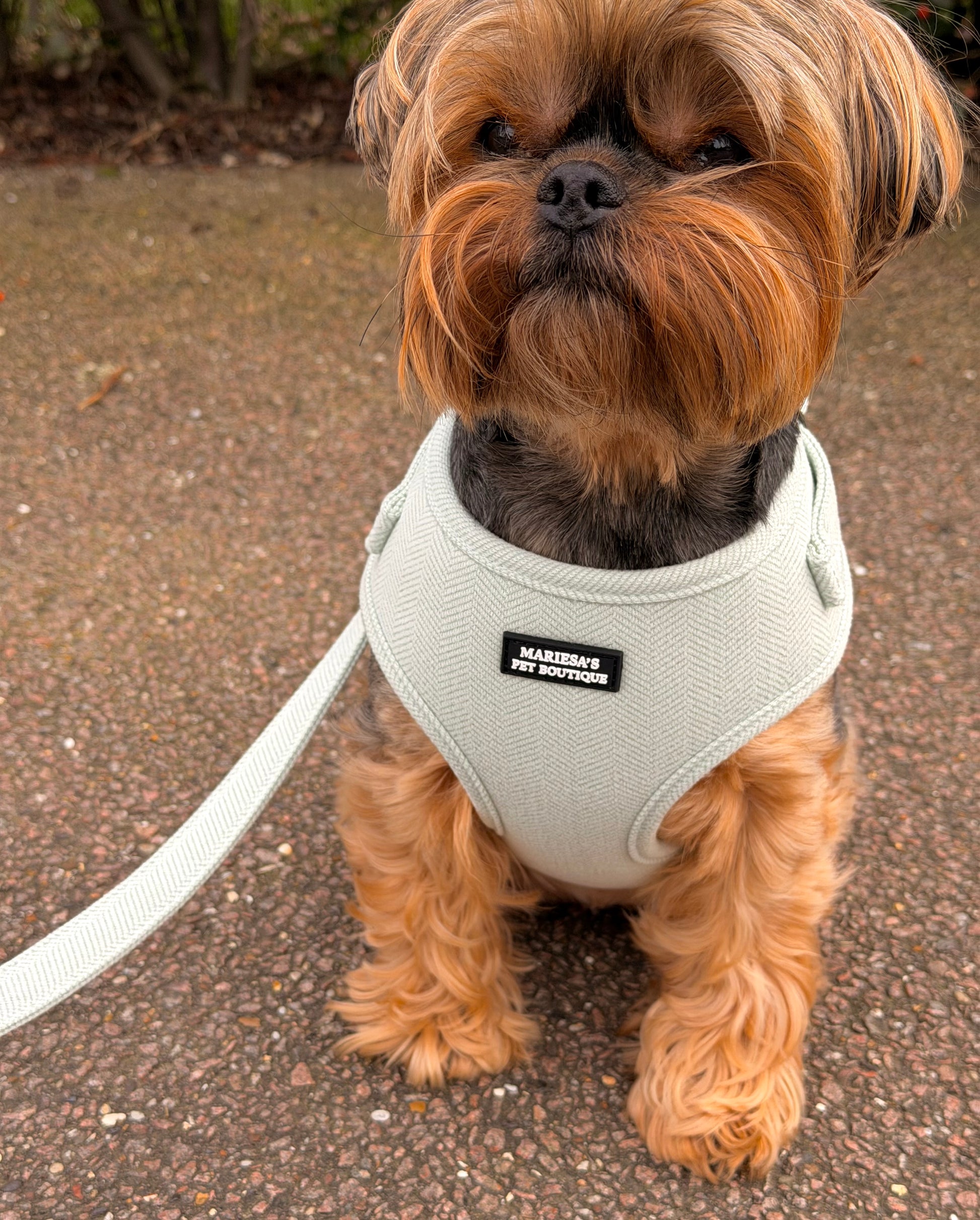 The Velmora Harness