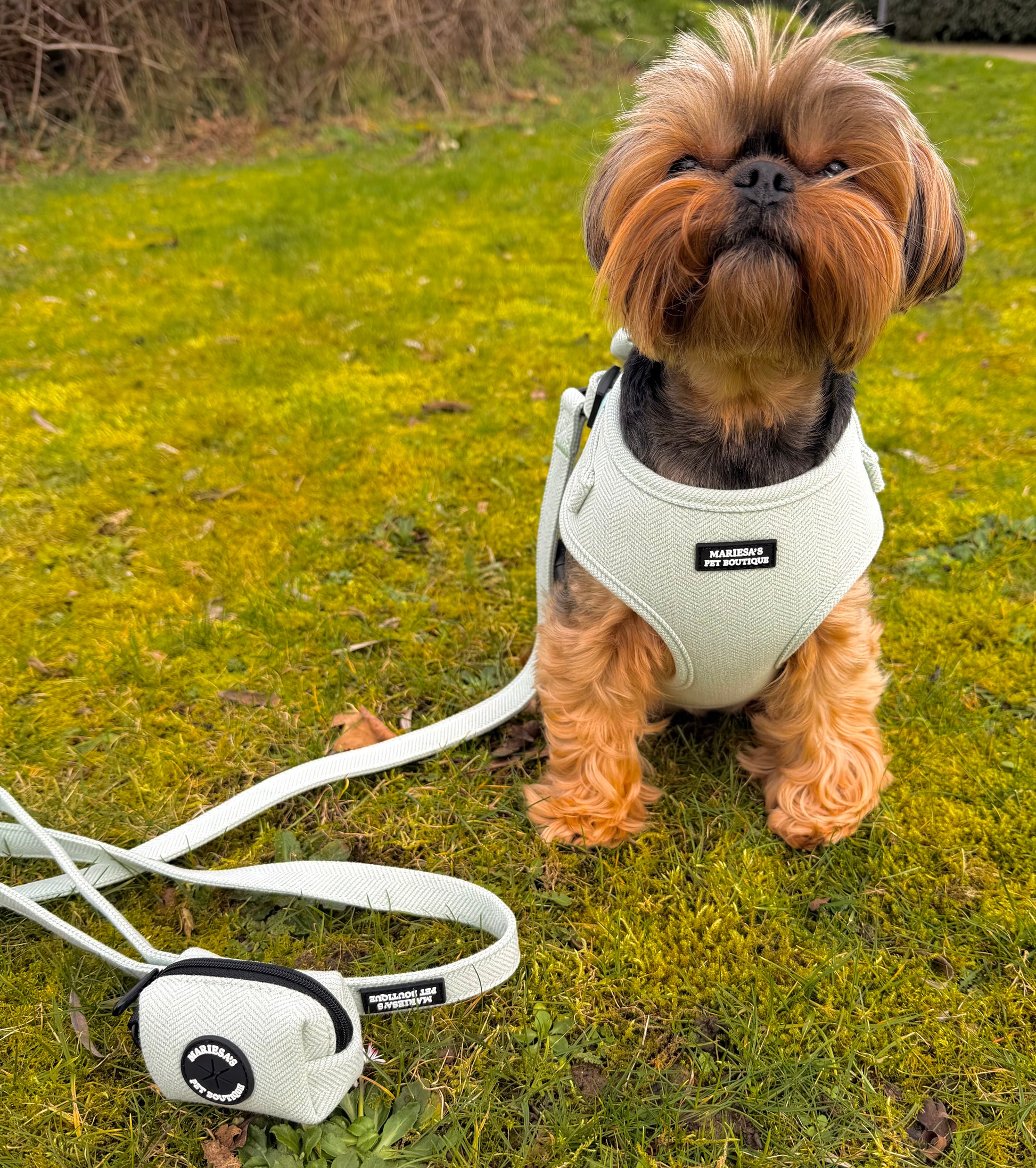 Velmora Dog Lead Width: 2.0cm Length: 150cm