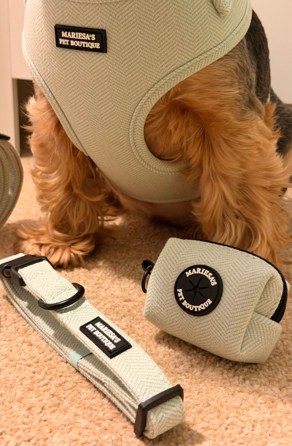 Velmora Dog Poop bag holder