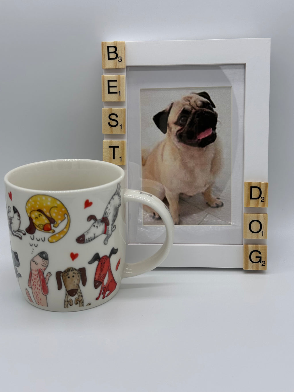 Best Dog Gift Set - Mug and Photo Frame