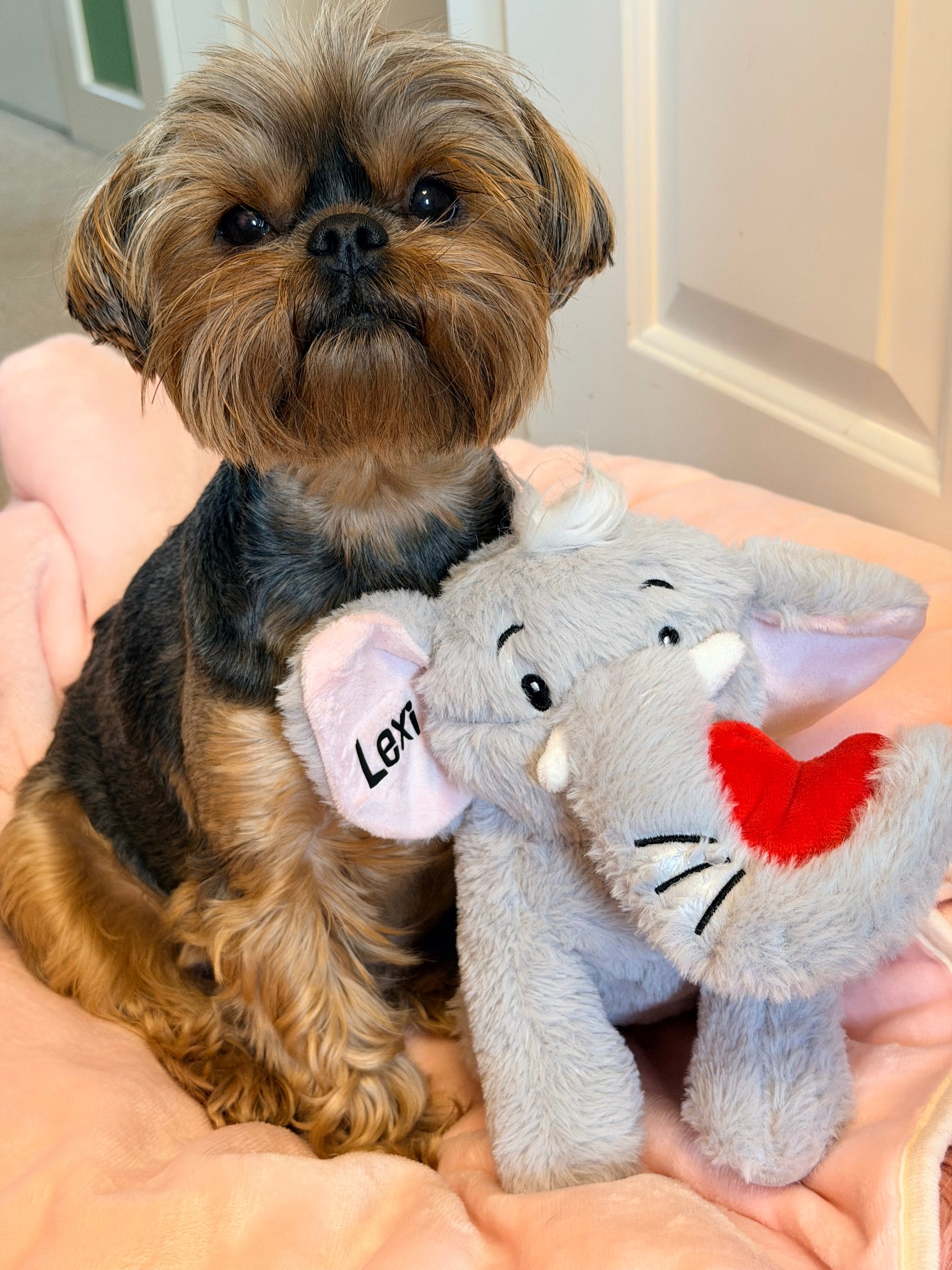 Personalised elephant dog toy with happy birthday hat