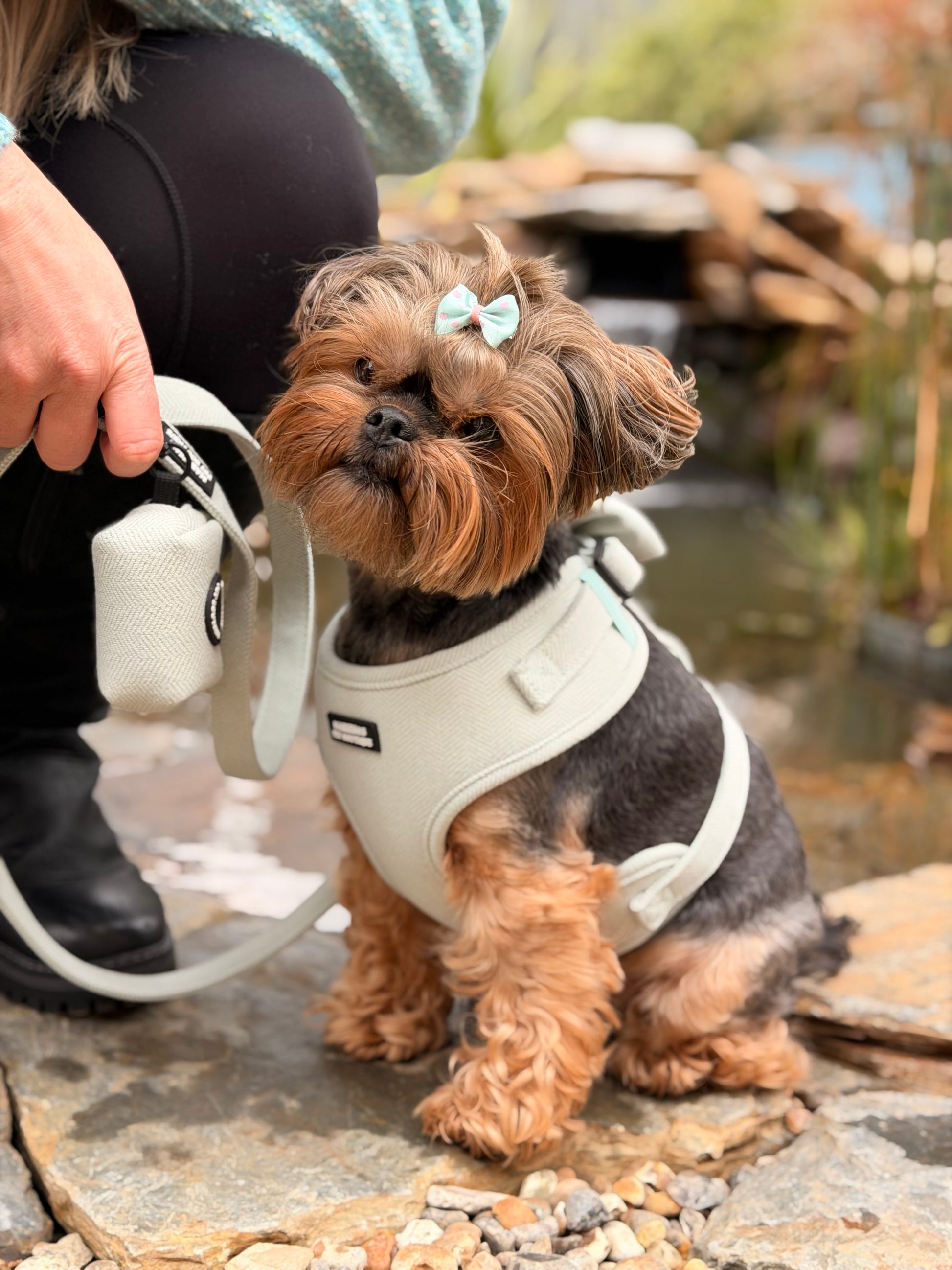 The Velmora Harness