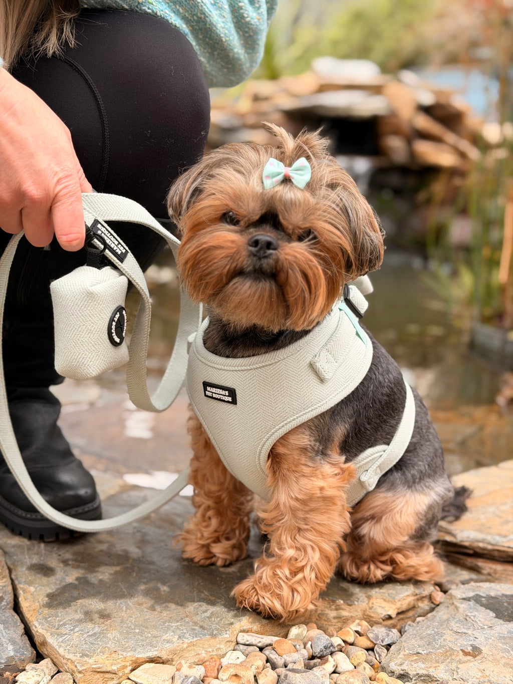 Velmora Walking Set – Sage Green