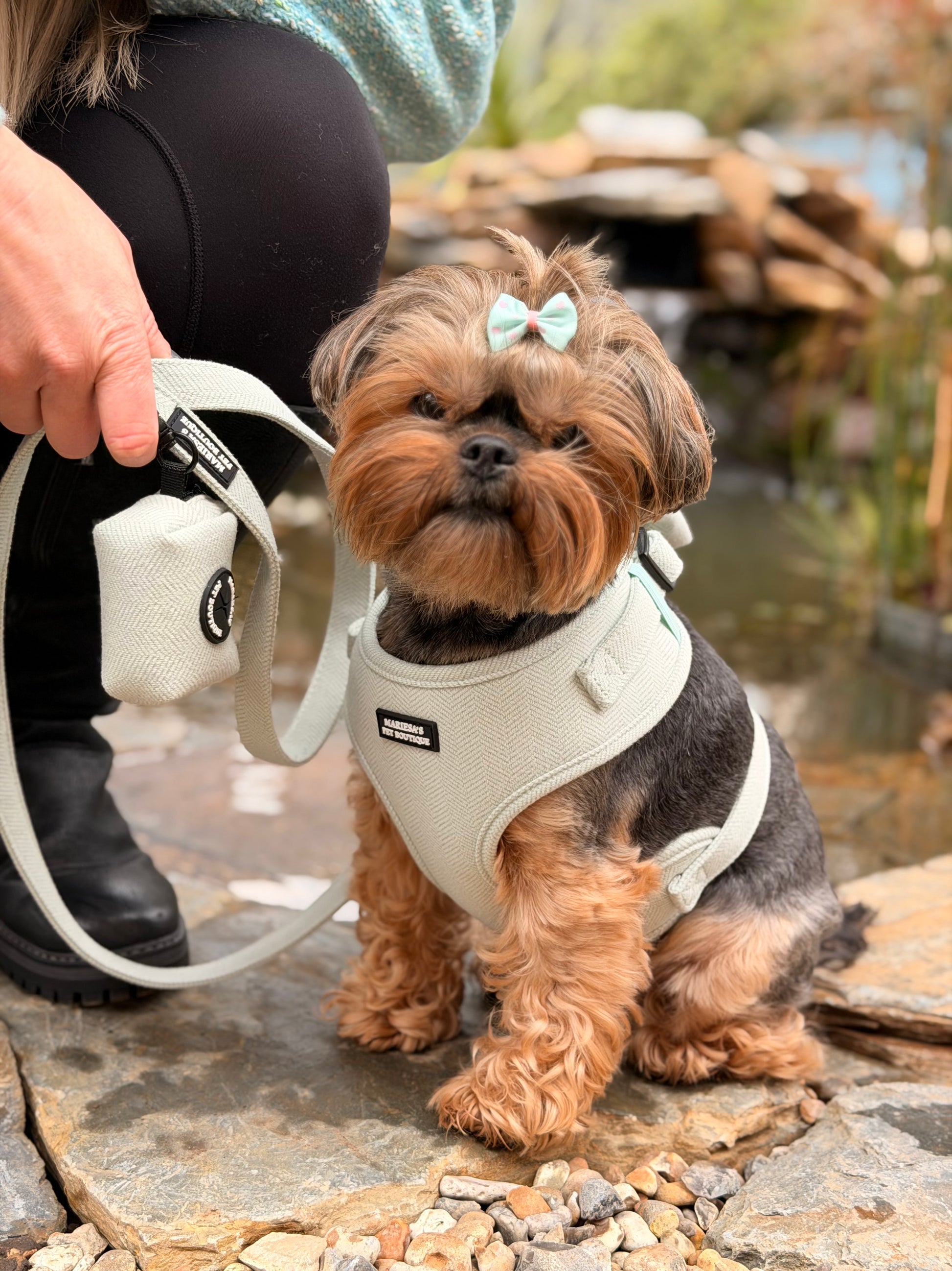 Velmora Walking Set – Sage Green