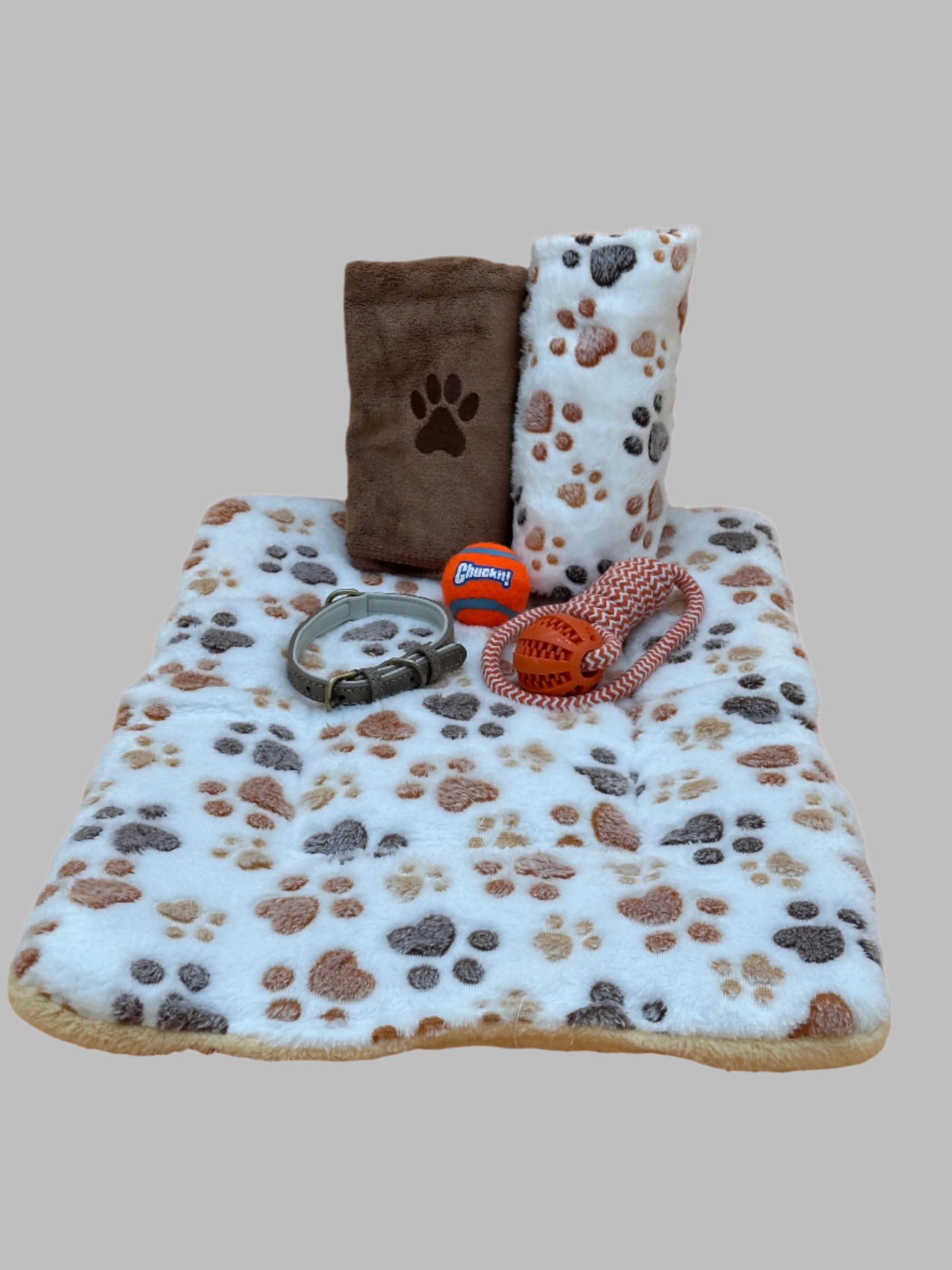 Welcome Home Puppy with blanket, treats, collar, bed and toys