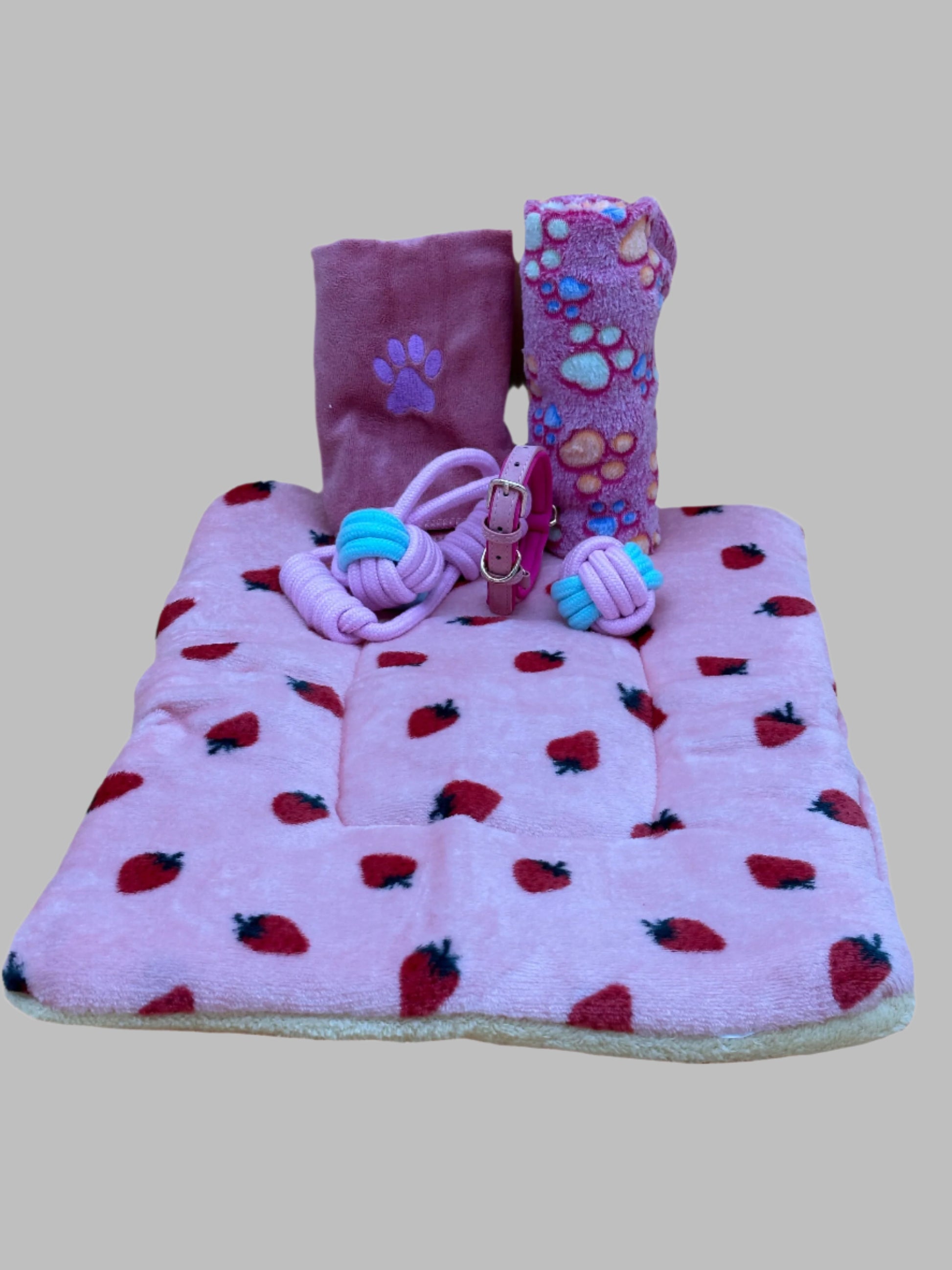 Welcome Home Puppy with blanket, treats, collar, bed and toys