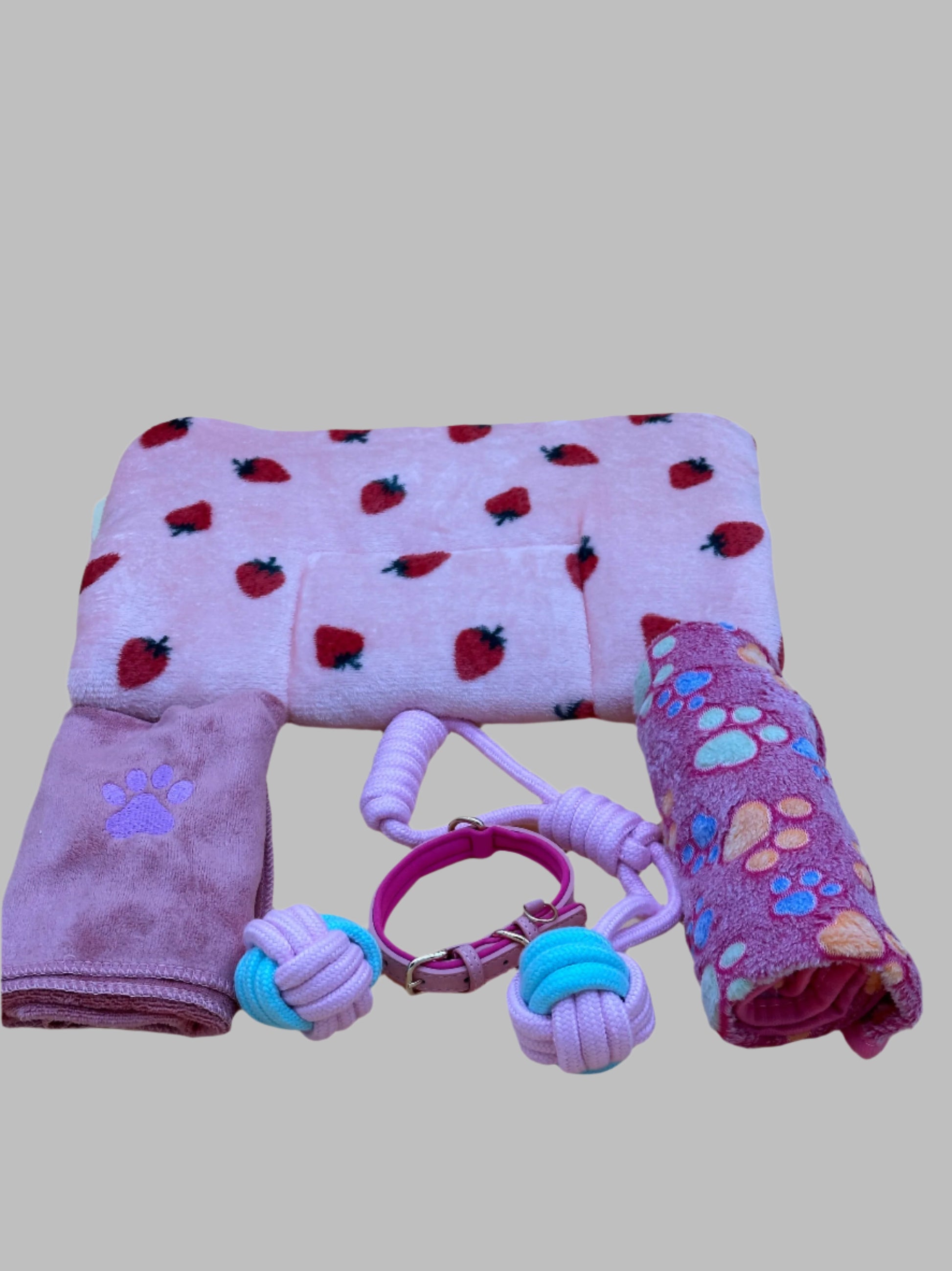 Welcome Home Puppy with blanket, treats, collar, bed and toys
