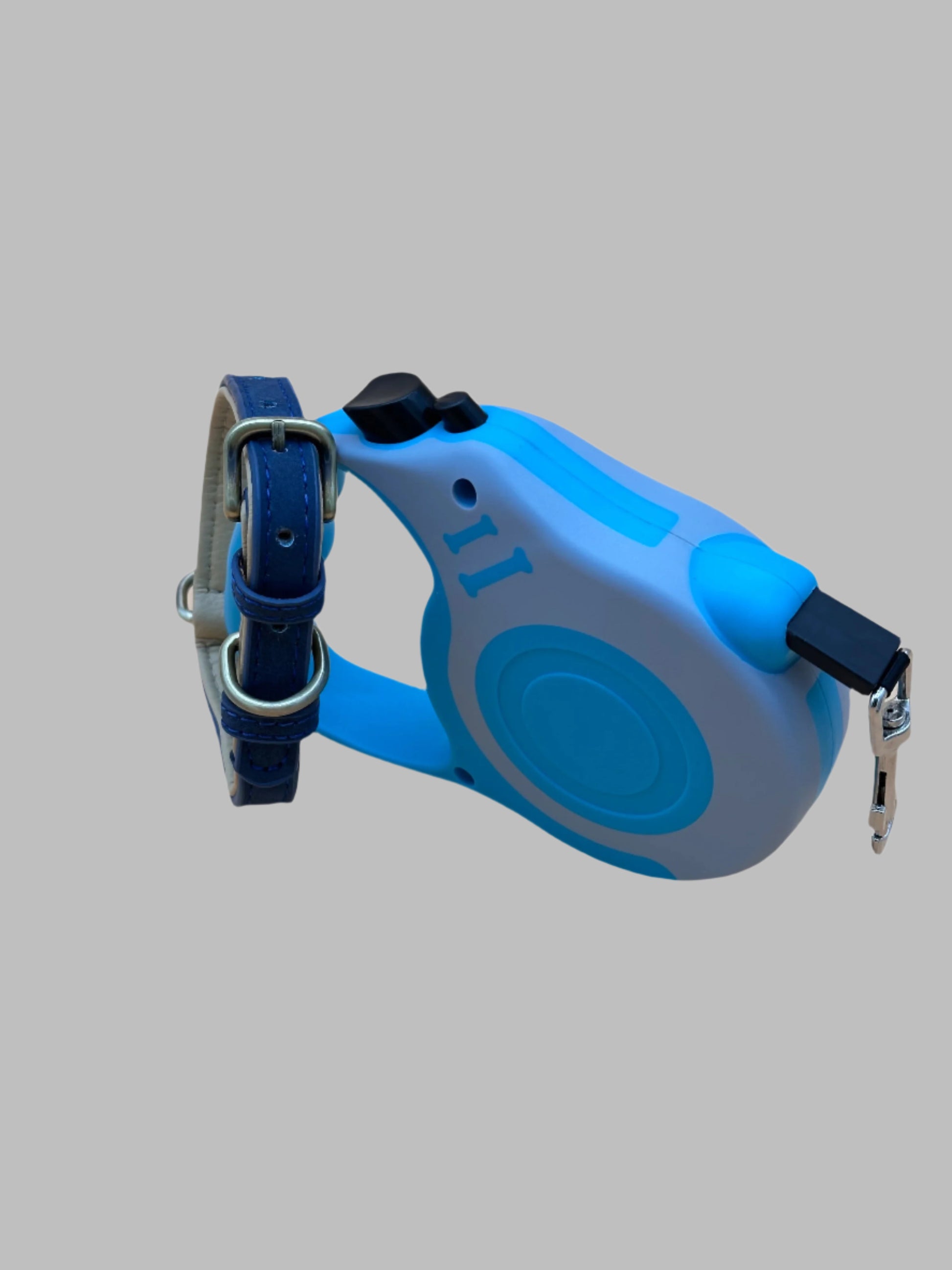 Dog Collar and Retractable Lead Set