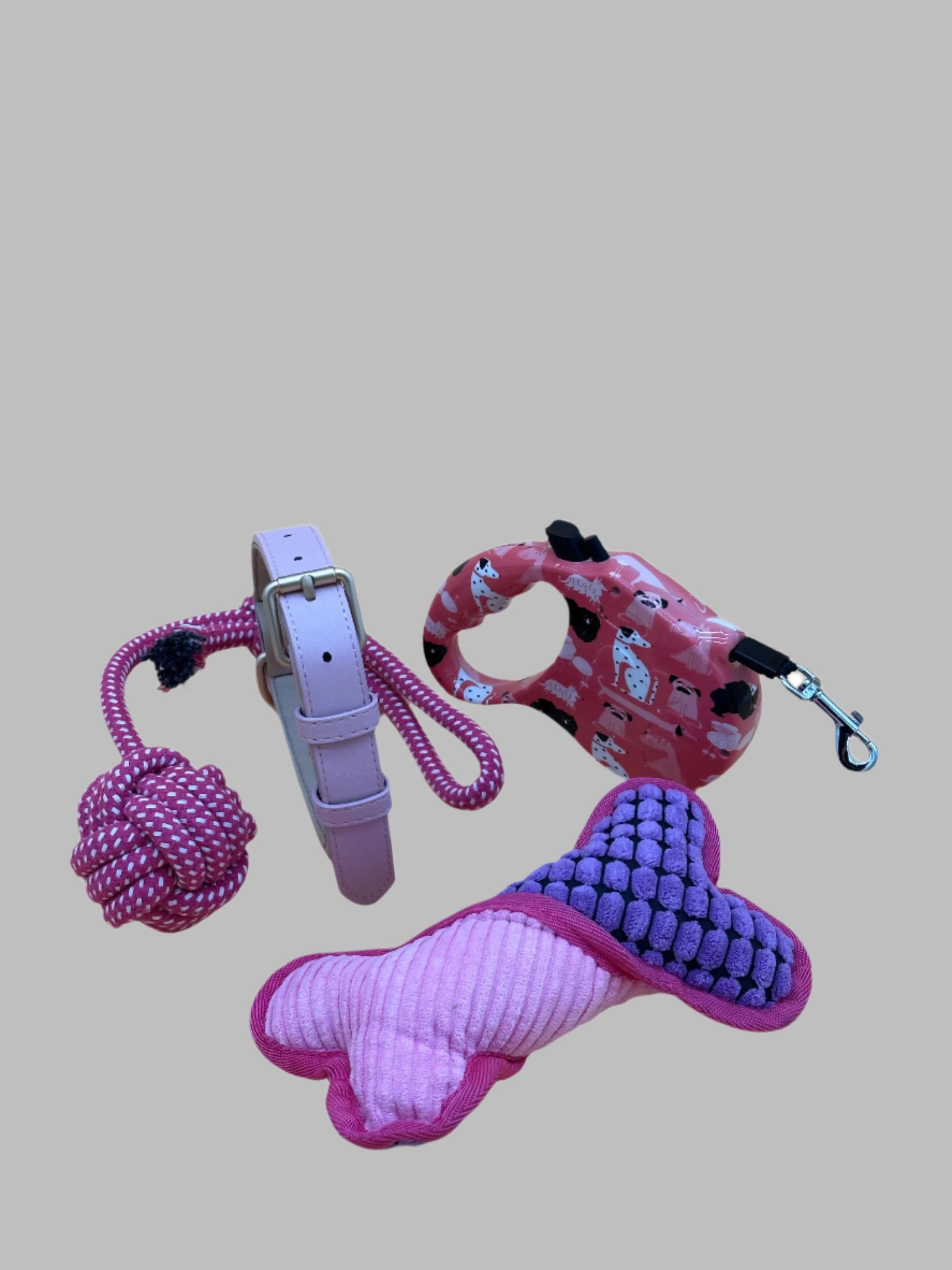 Dog Collar and Retractable Lead Set