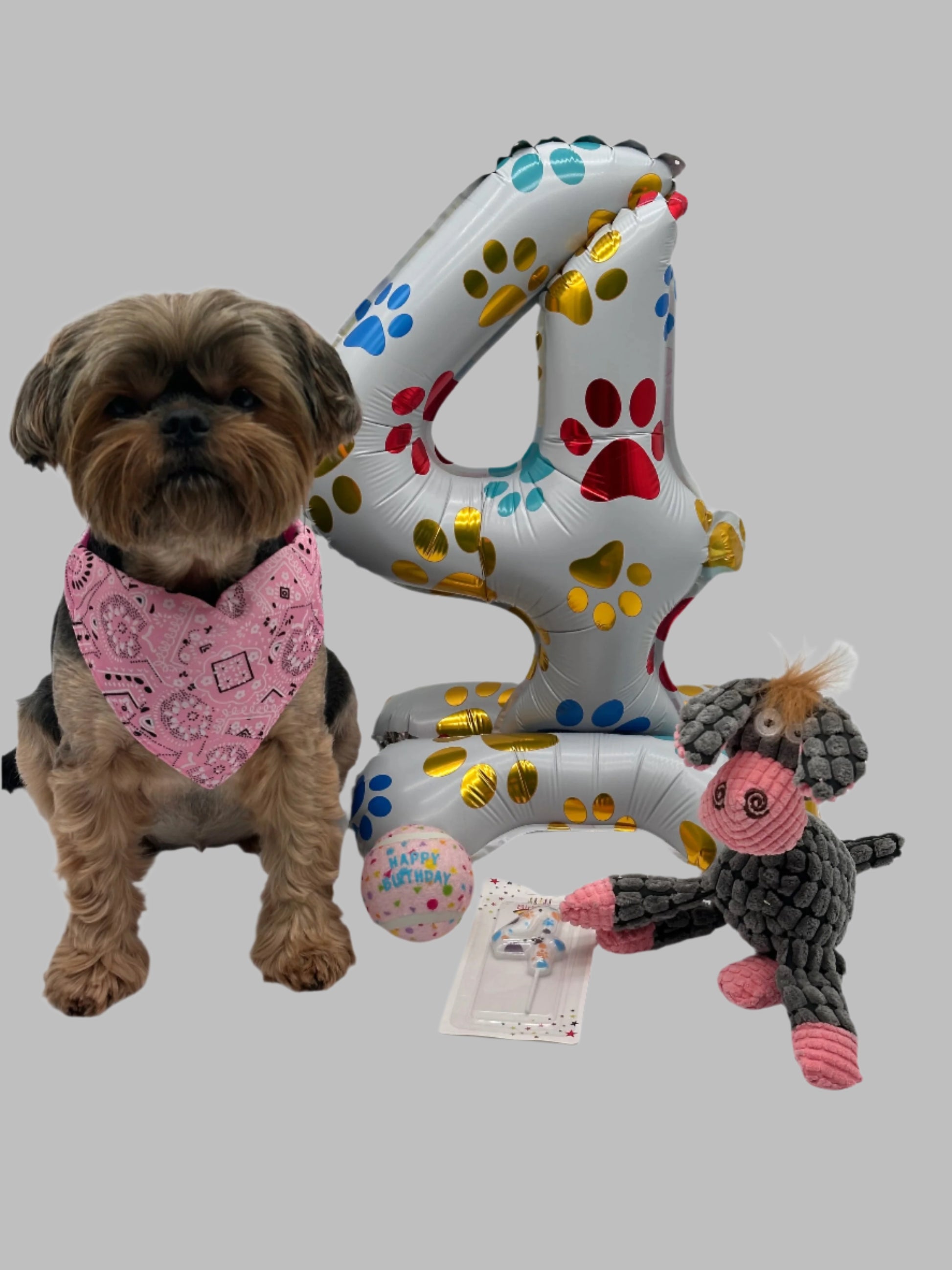 Dog Birthday Surprise with balloon, number candle, soft toy, ball and bandana
