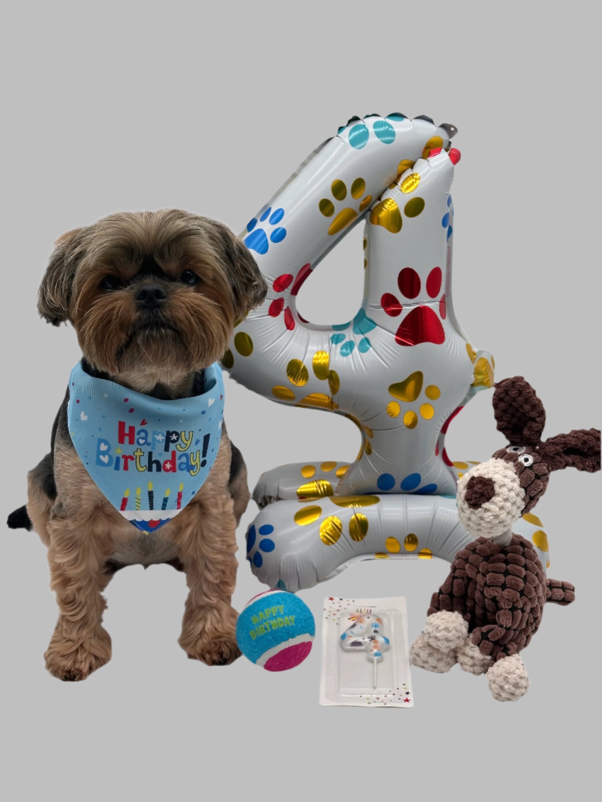 Dog Birthday Surprise with balloon, number candle, soft toy, ball and bandana