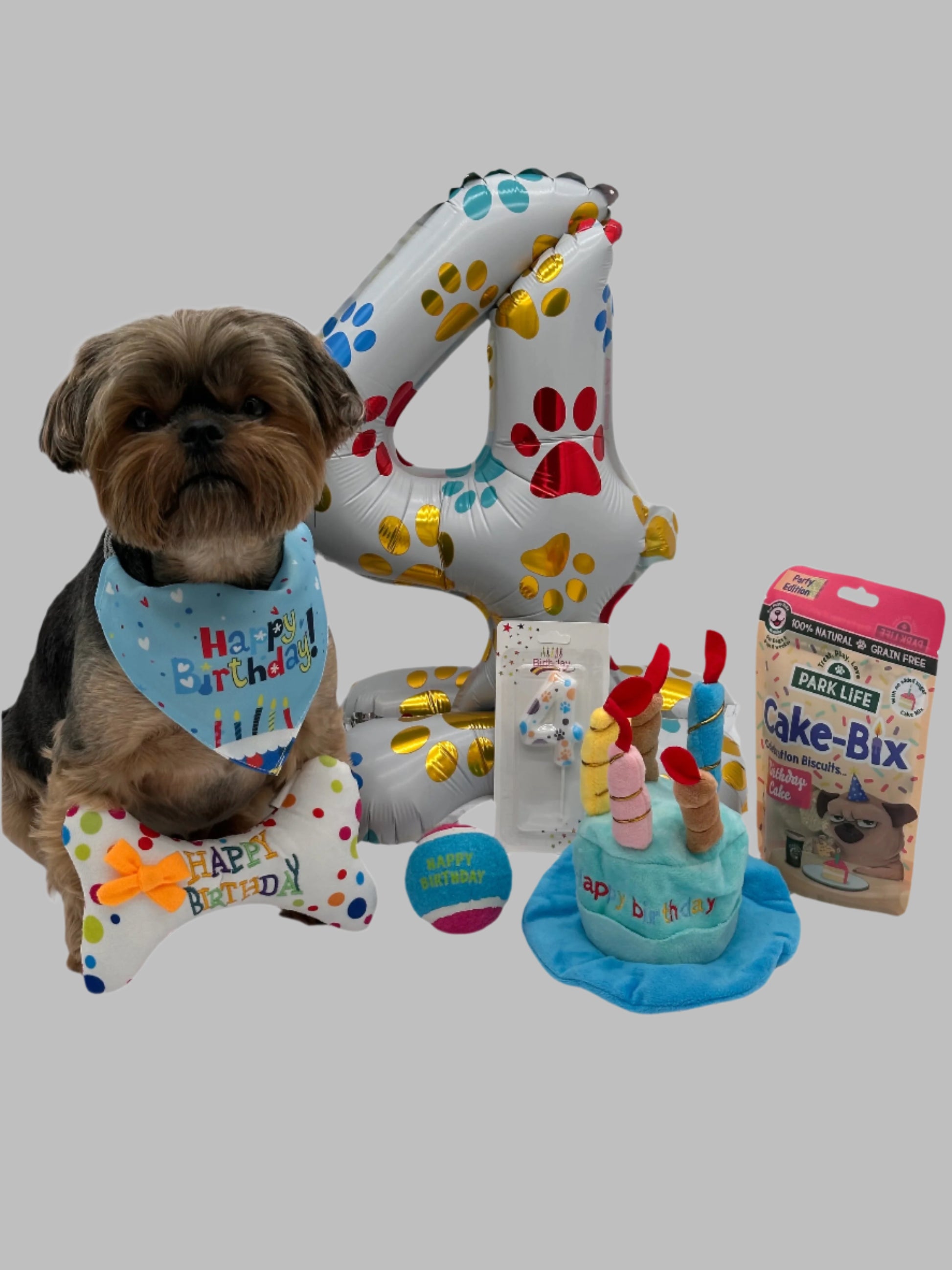 Dog Large Birthday Surprise with treats, birthday hat, bandana, balloon, candle and ball