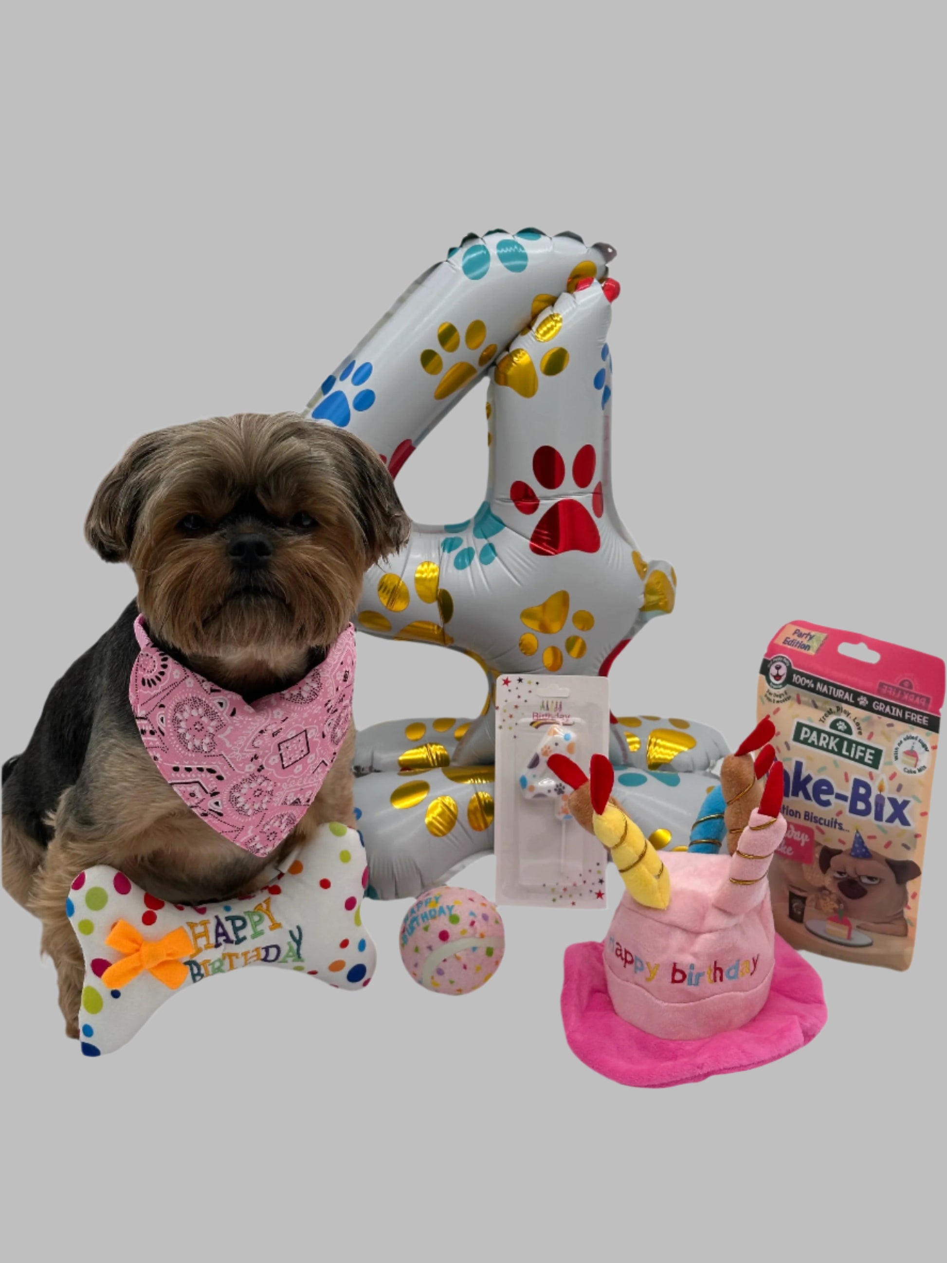 Dog Large Birthday Surprise with treats, birthday hat, bandana, balloon, candle and ball