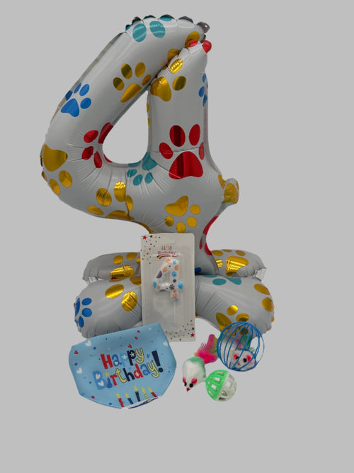 Cat Birthday Surprise with balloon, candle, toys and bandana