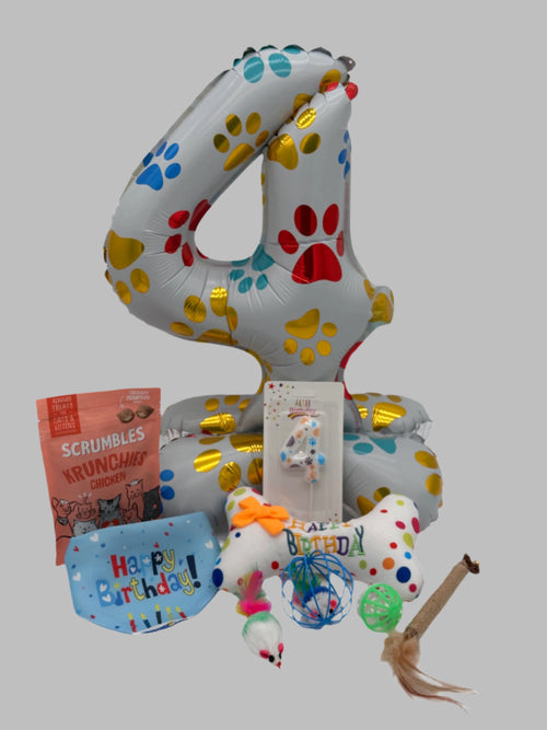 Cat Birthday Surprise with treats, balloon, candle, toys and bandana
