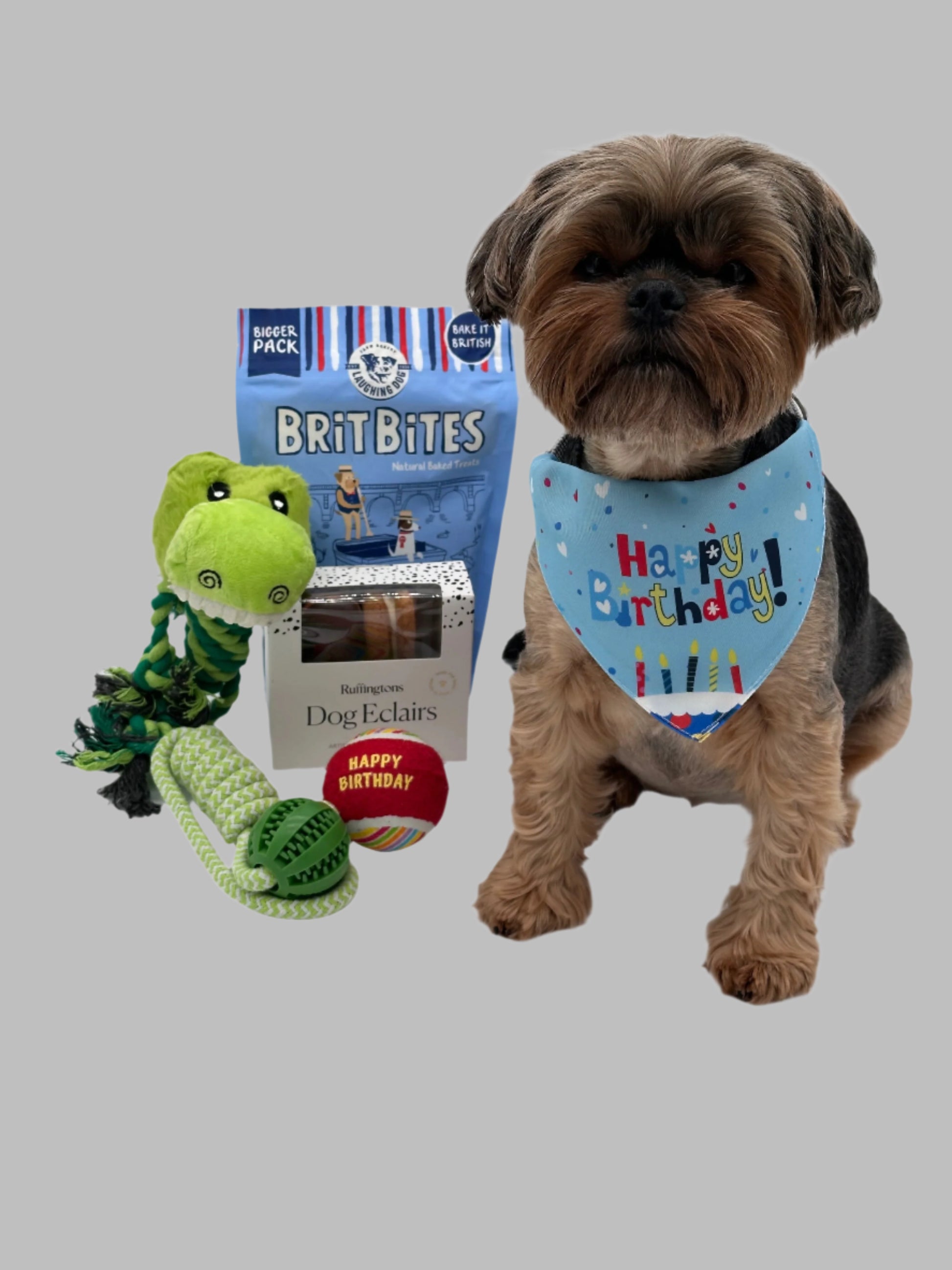 Dog Large Birthday Surprise with treats, bandana and toys