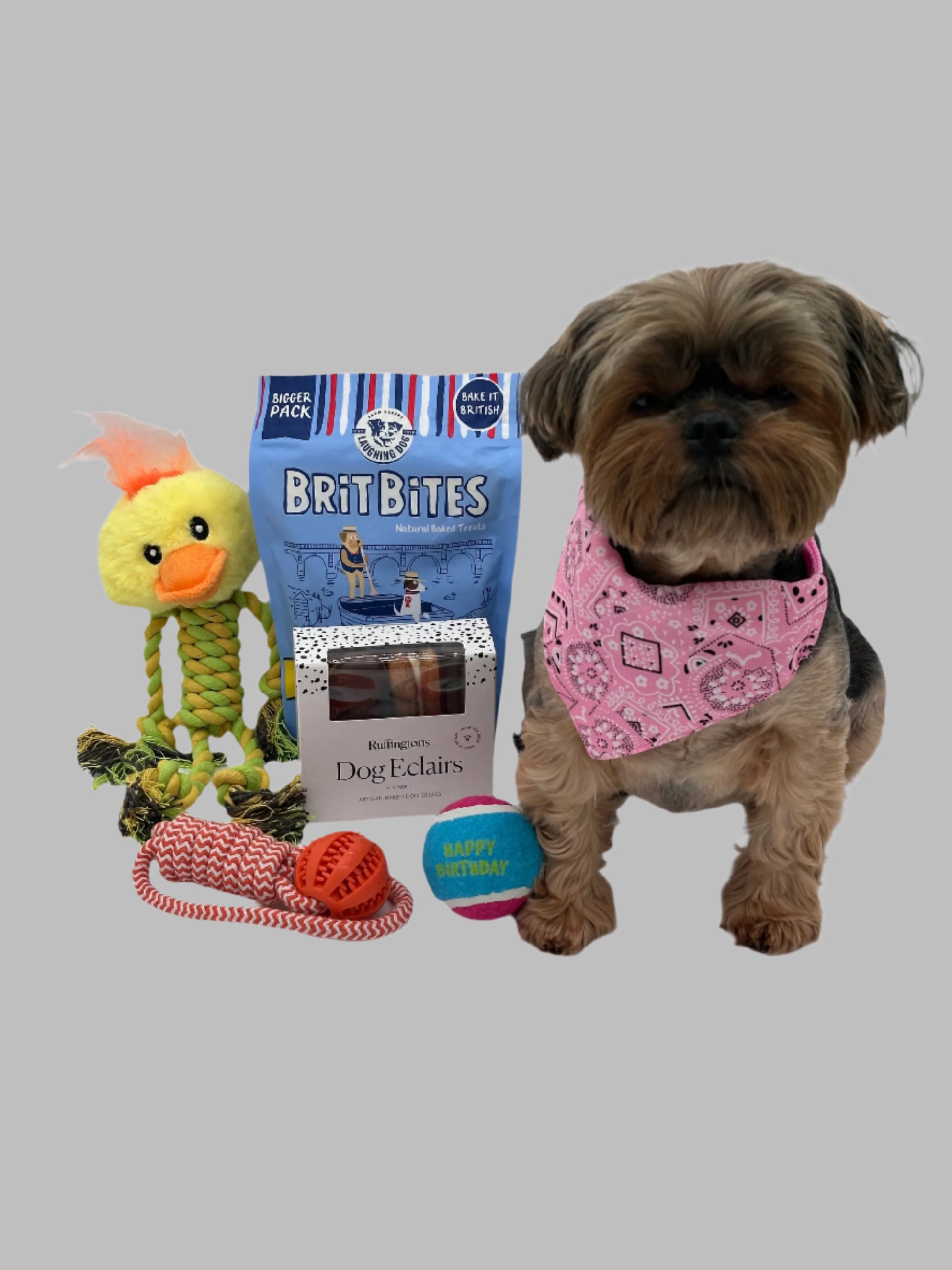 Dog Large Birthday Surprise with treats, bandana and toys