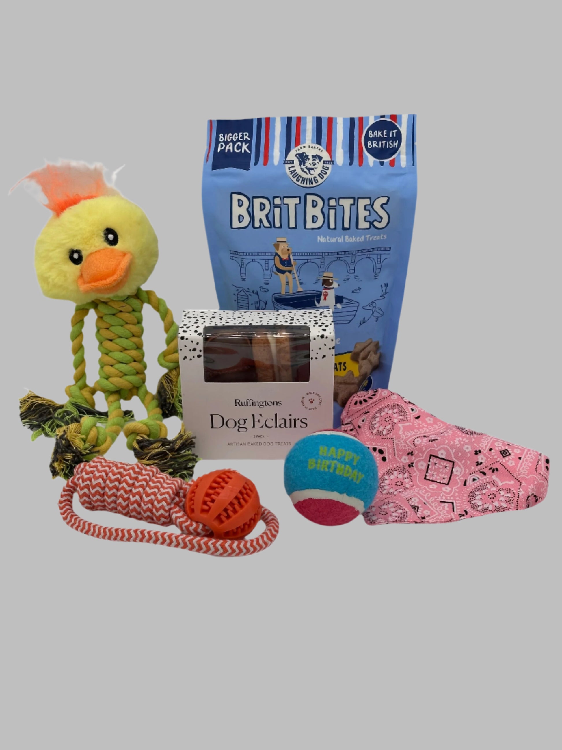 Dog Large Birthday Surprise with treats, bandana and toys