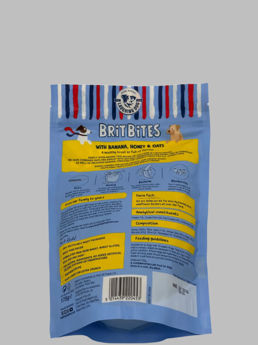 Dog Large Birthday Surprise with treats, bandana and toys