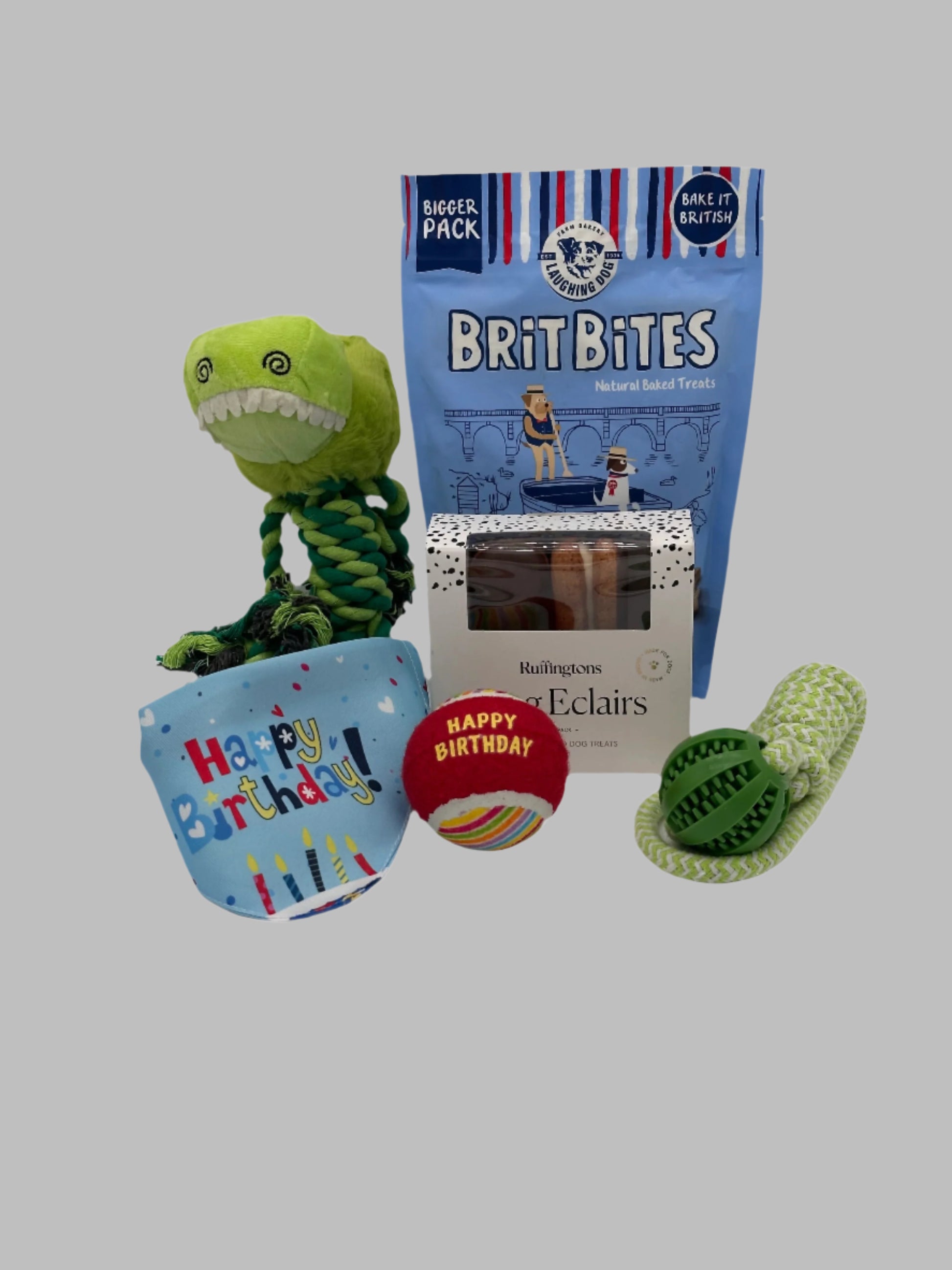 Dog Large Birthday Surprise with treats, bandana and toys
