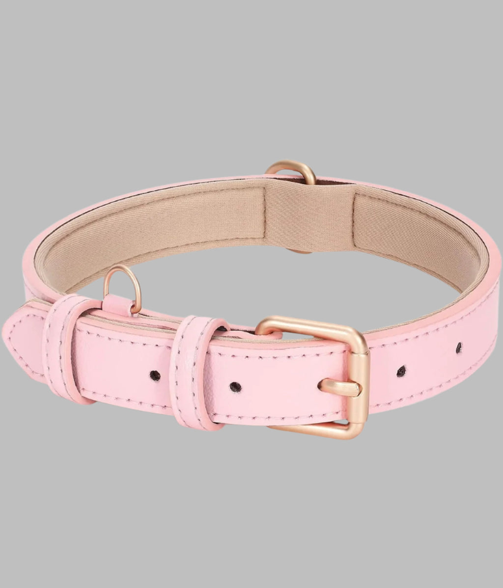Dog Leather Collar with storage bag