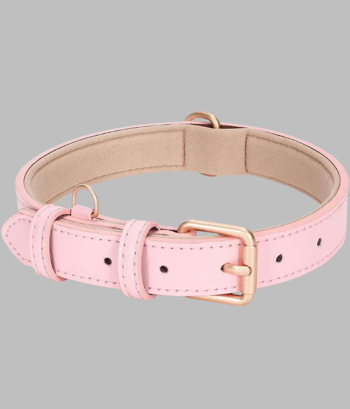 Dog Leather Collar with storage bag