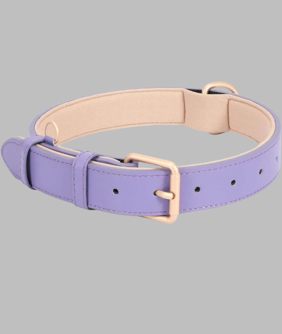 Dog Leather Collar with storage bag