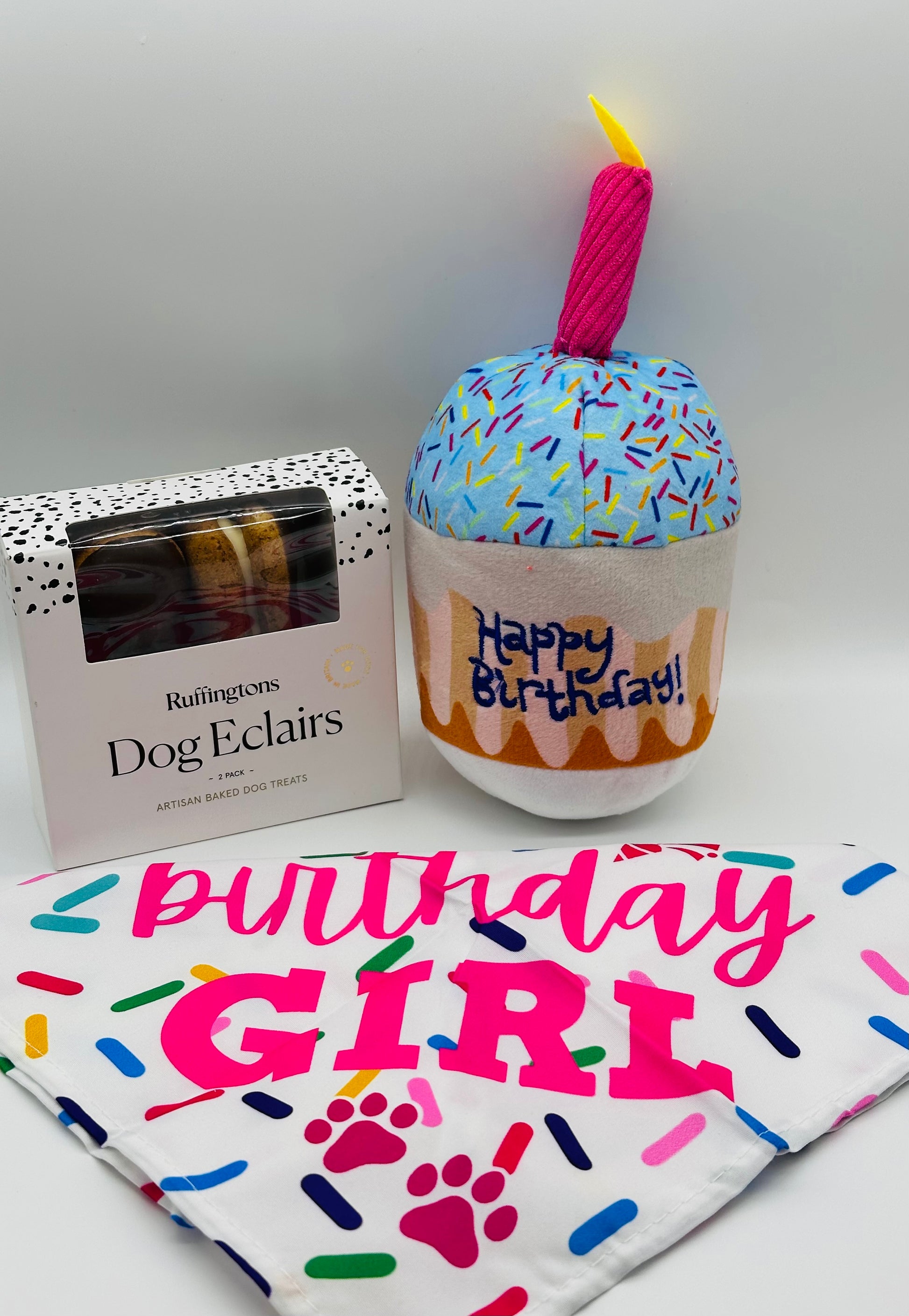Dog Birthday Present with treats, cupcake toy and bandana